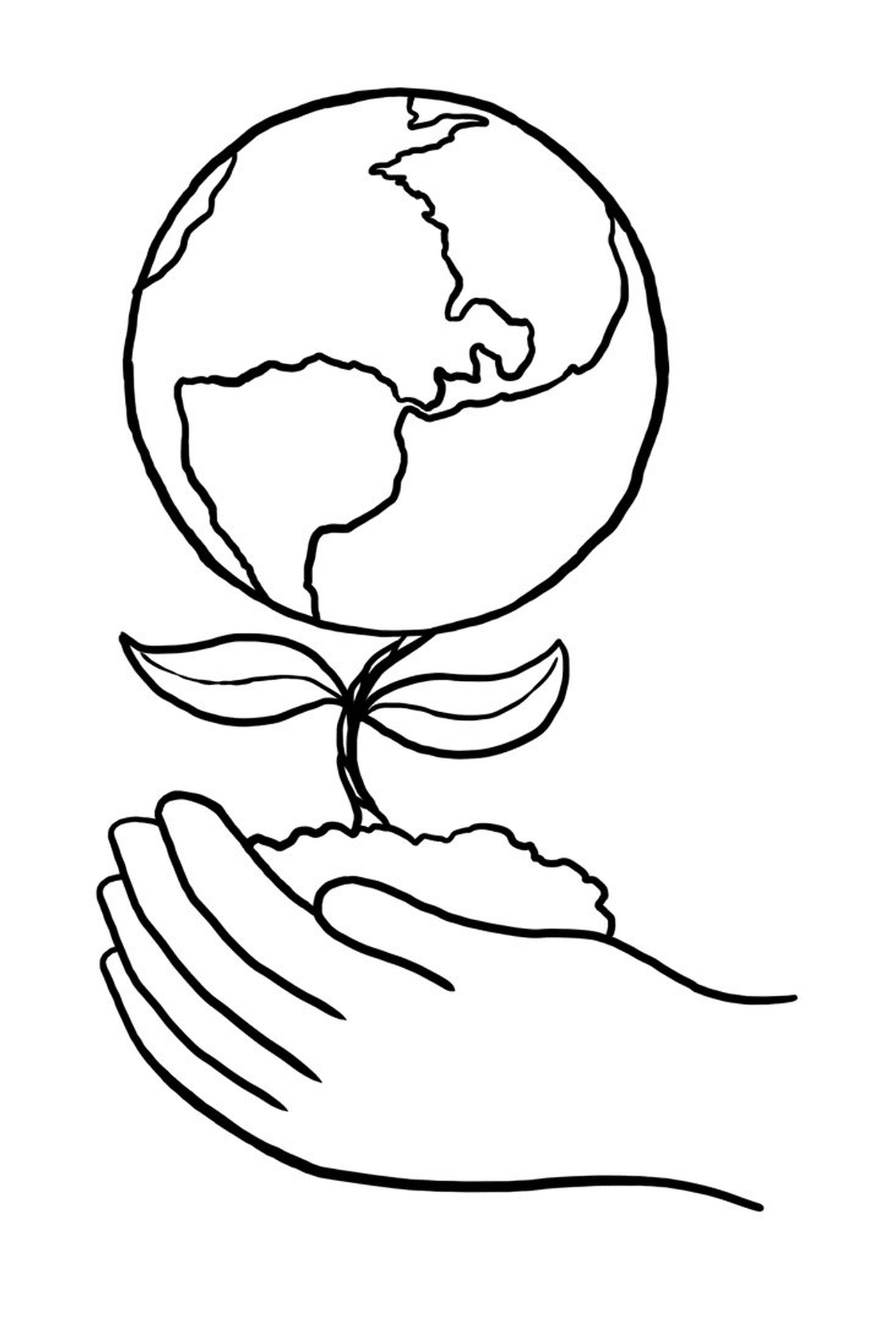  Eine Hand, die eine Pflanze vor einem Globus hält 