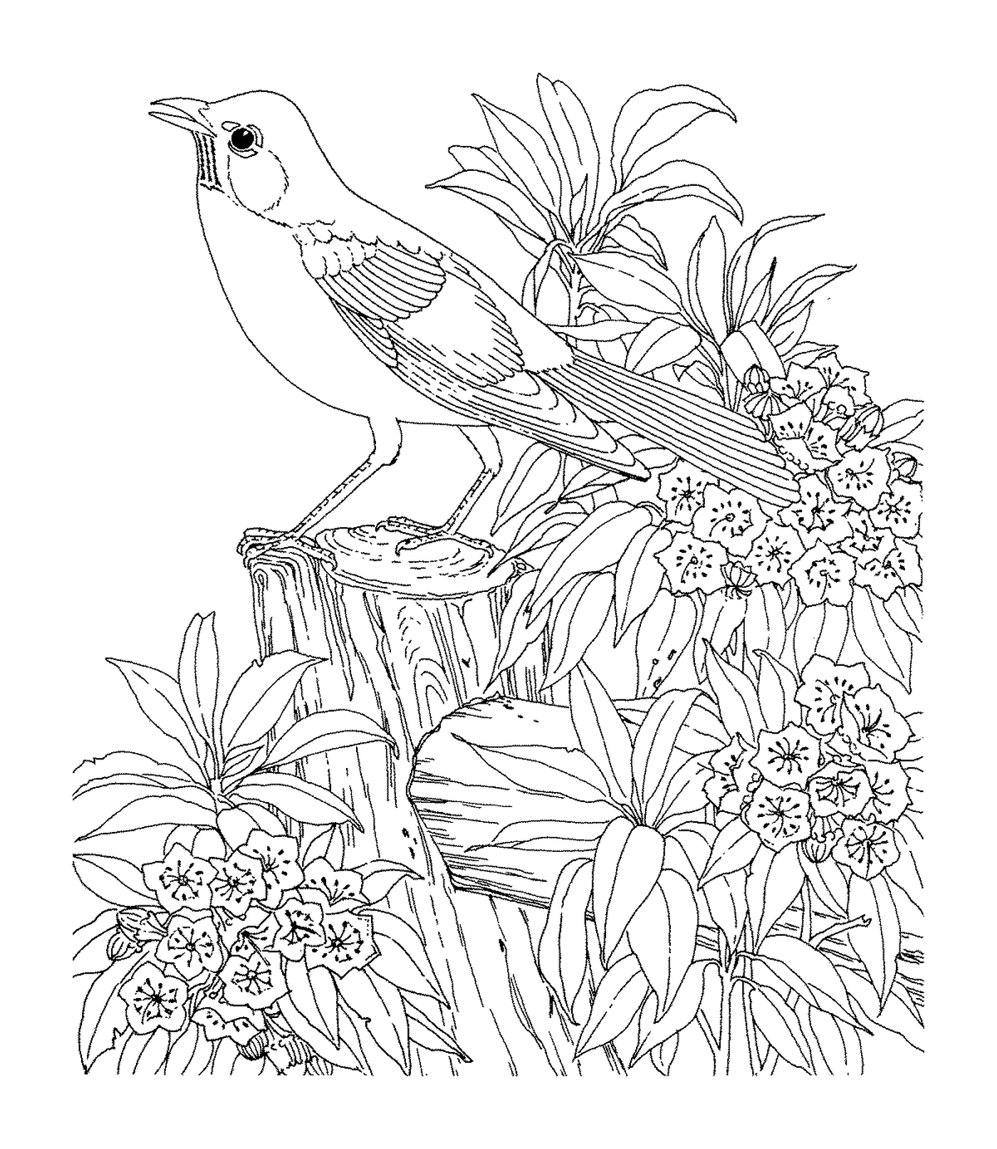  Un pájaro sentado en una rama 