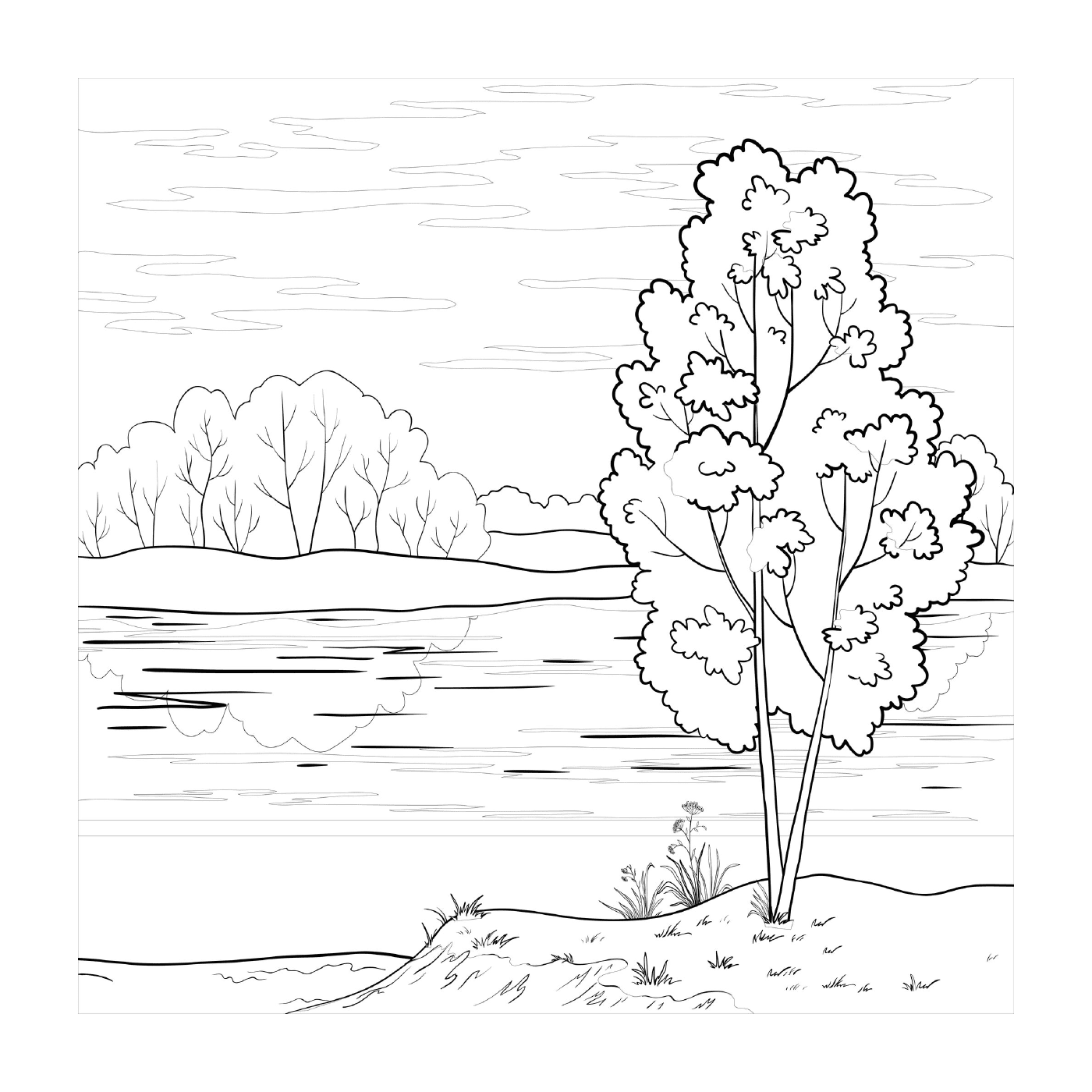  A tree by a lake 