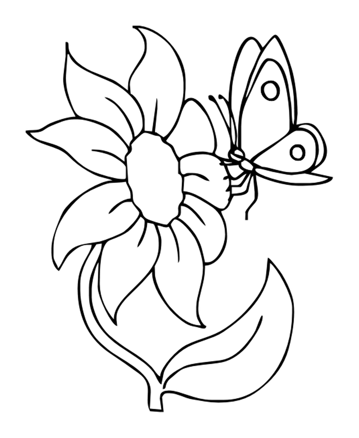  Una mariposa en una flor 