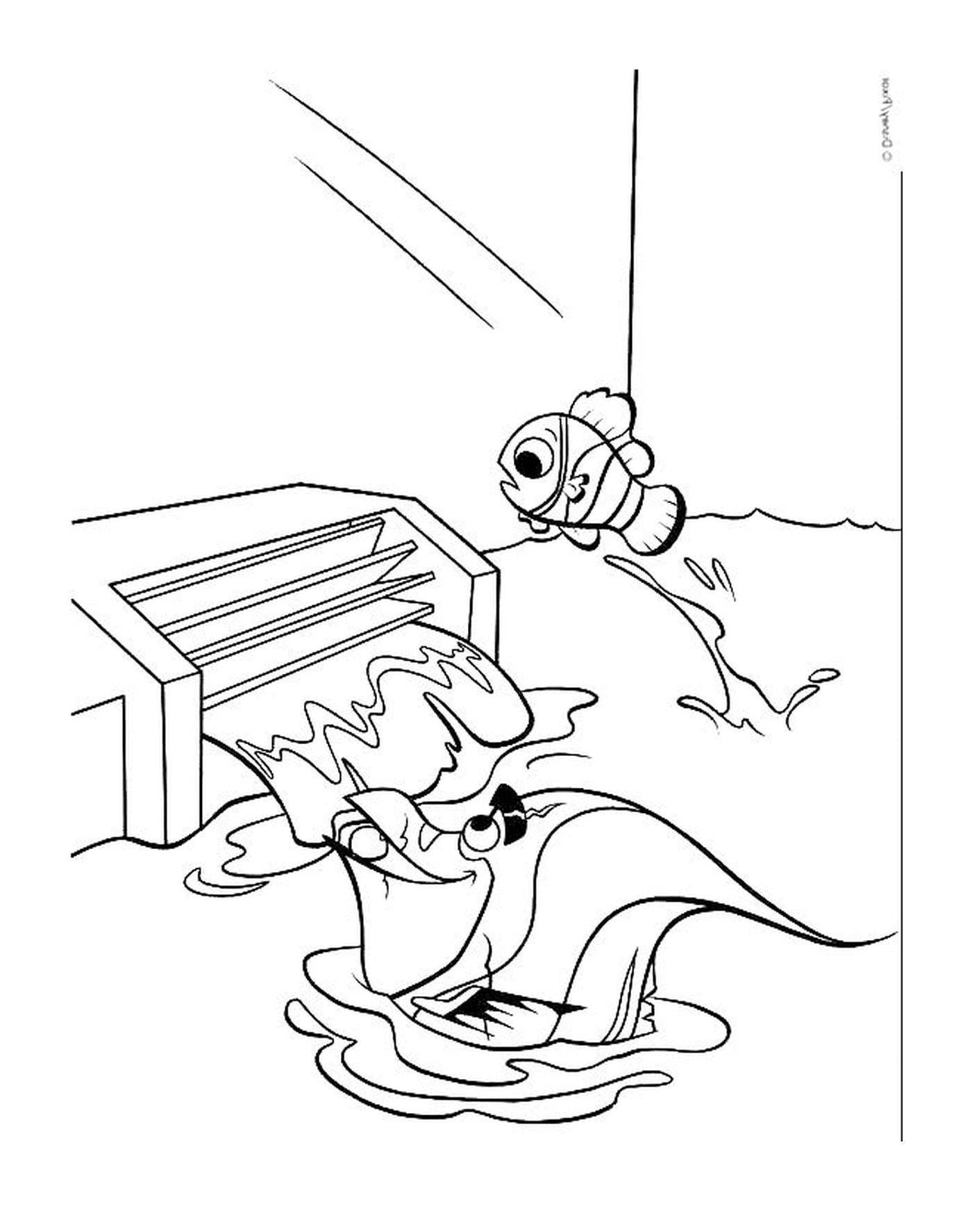  Gill und Nemo springen 