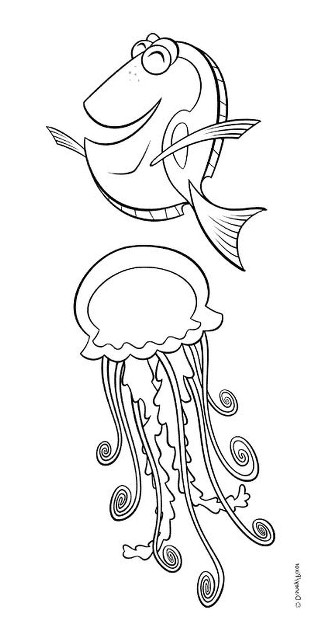  Dory con una medusa 
