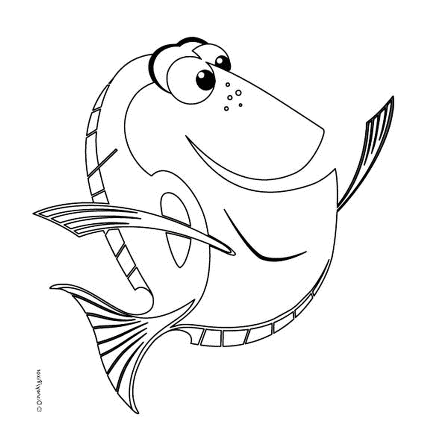  Dory, a fish 