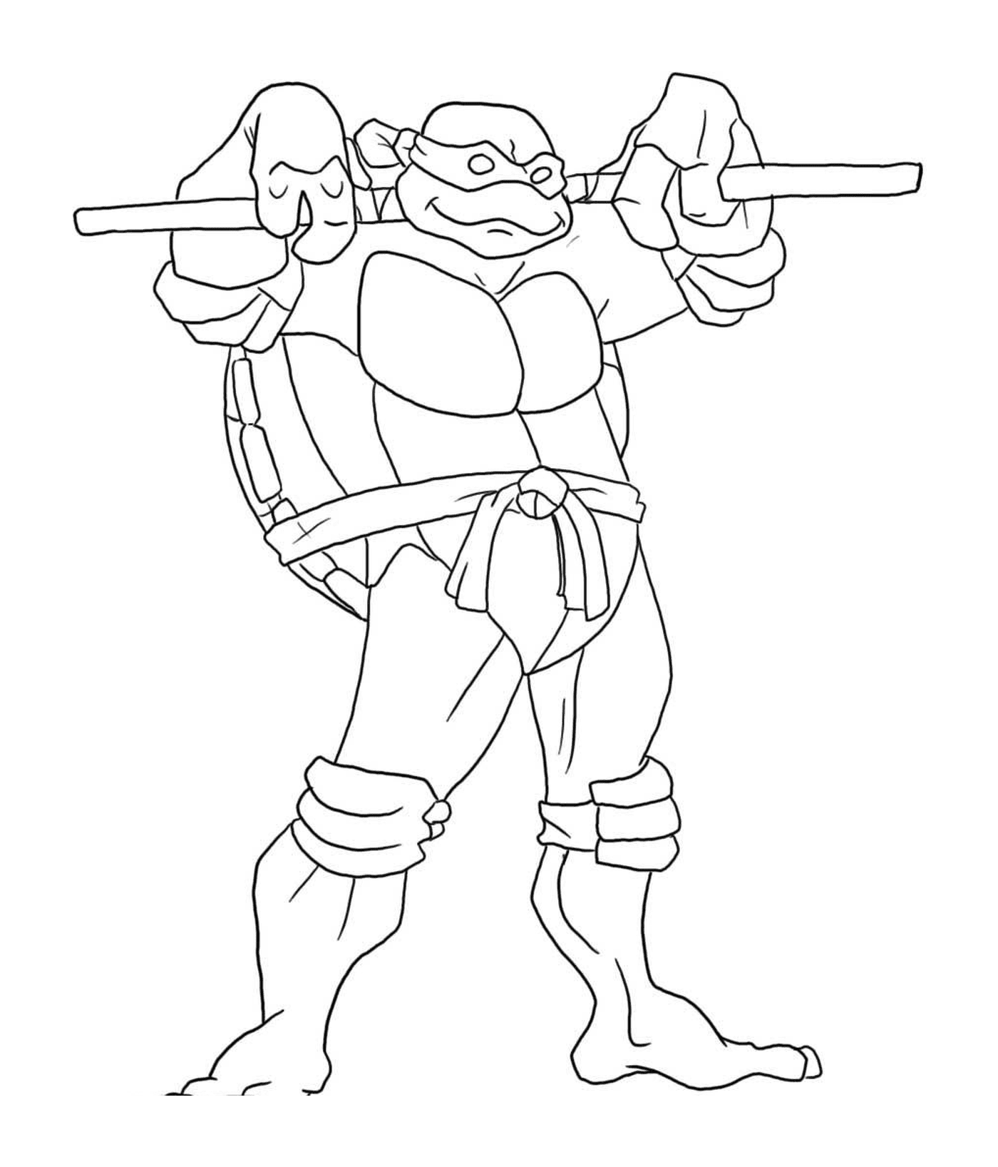  Ninja-Schildschildkröte bestimmt 