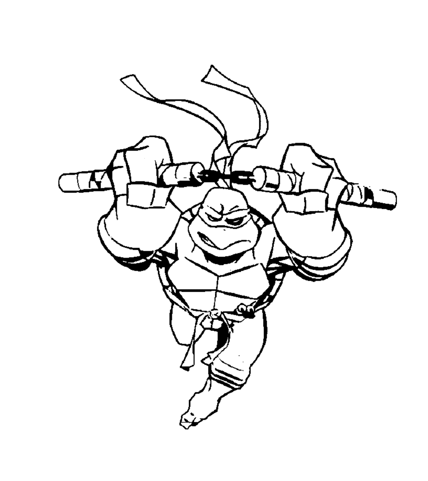  Unerschrockene Ninja Turtle 