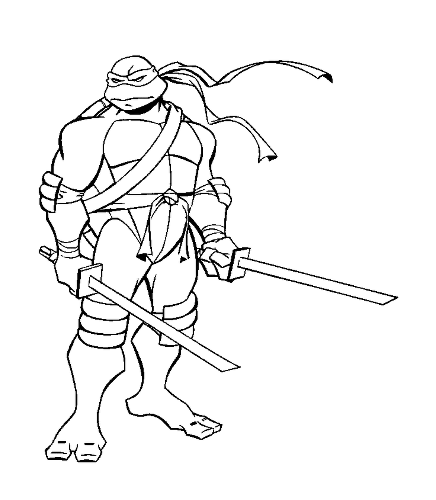  Solitäre Ninja Schildkröte 