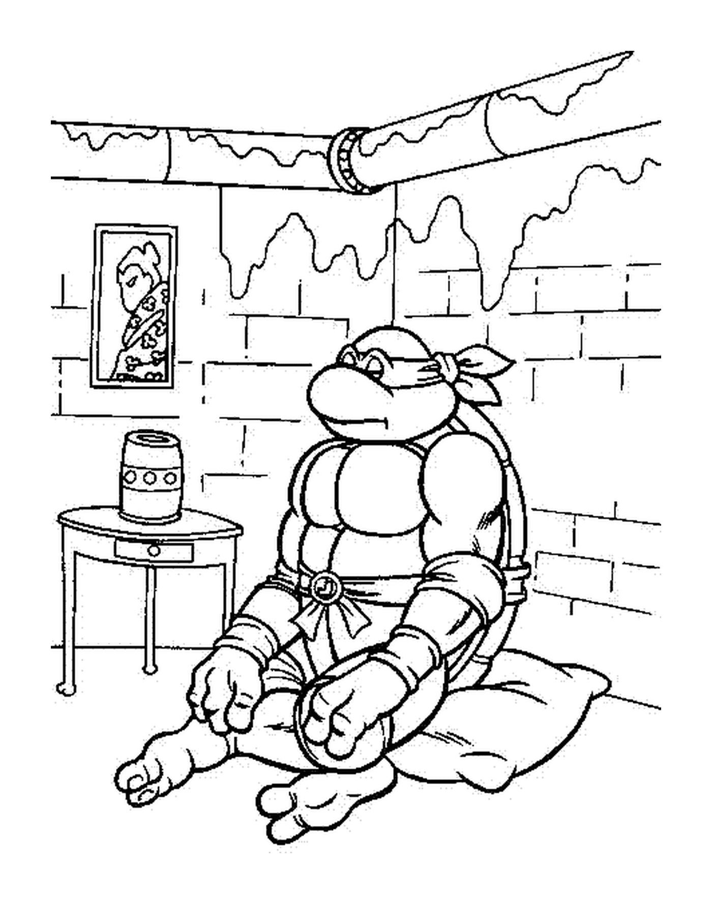  Ninja turtle sitting in a room 