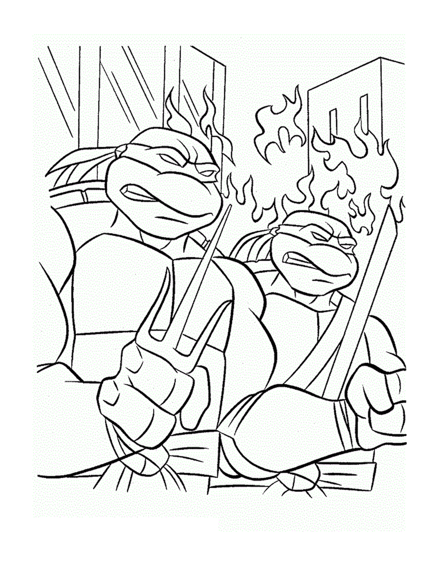  Zwei Ninjaschildkröten 