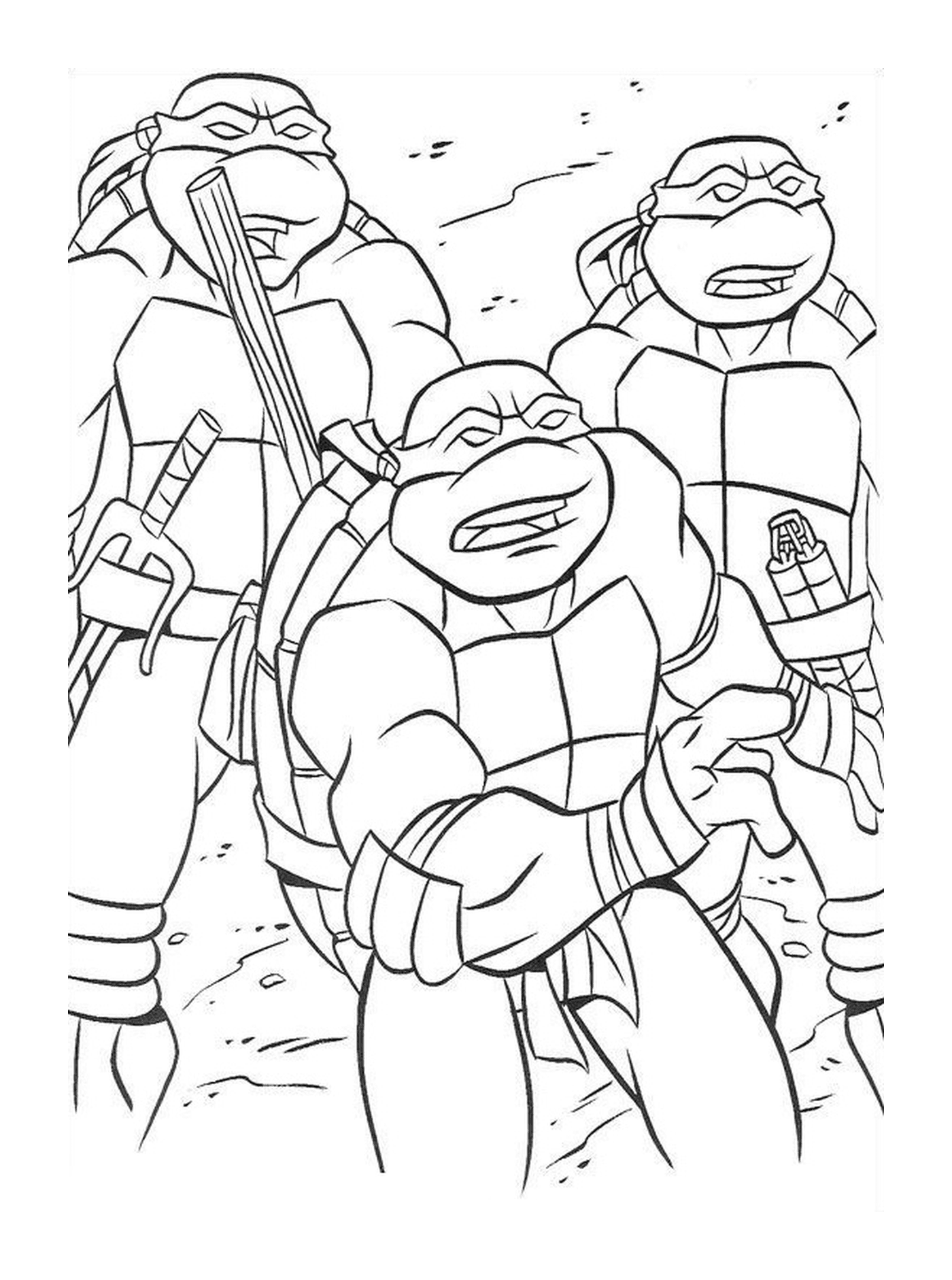  Group of solidarity ninja turtles 