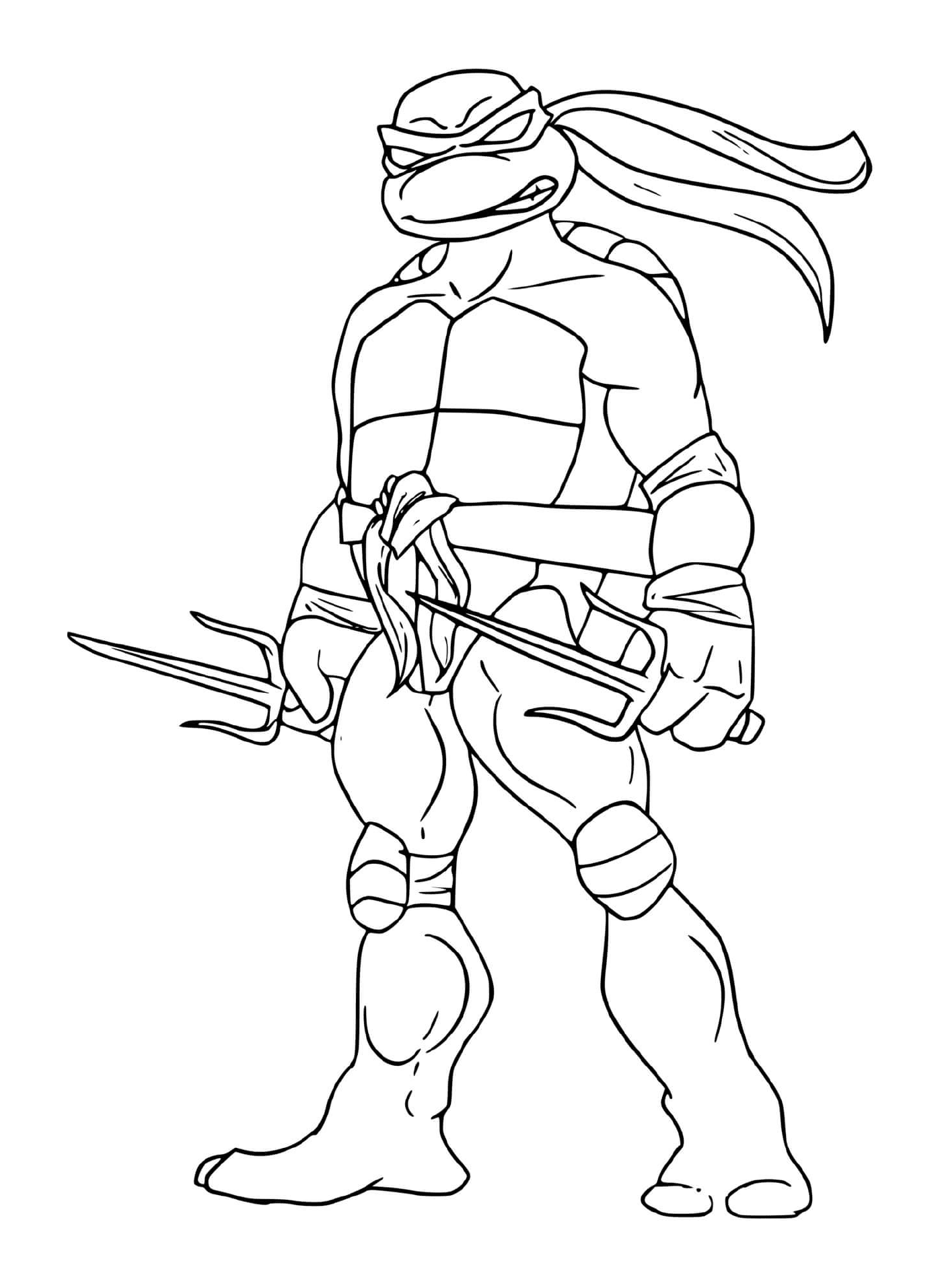  Eine Ninja Schildkröte 