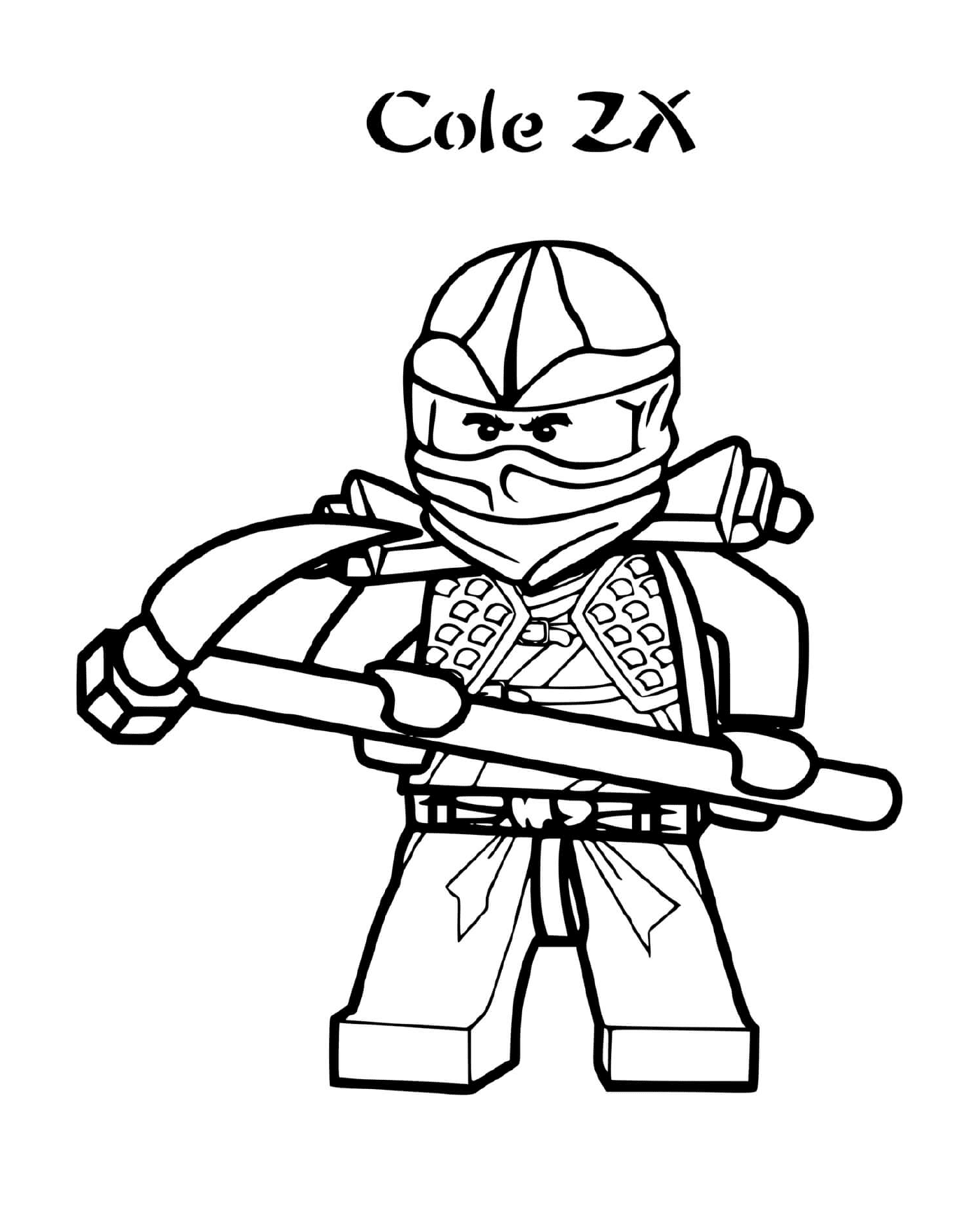  Ninjago : Cole ZX, a ninja 