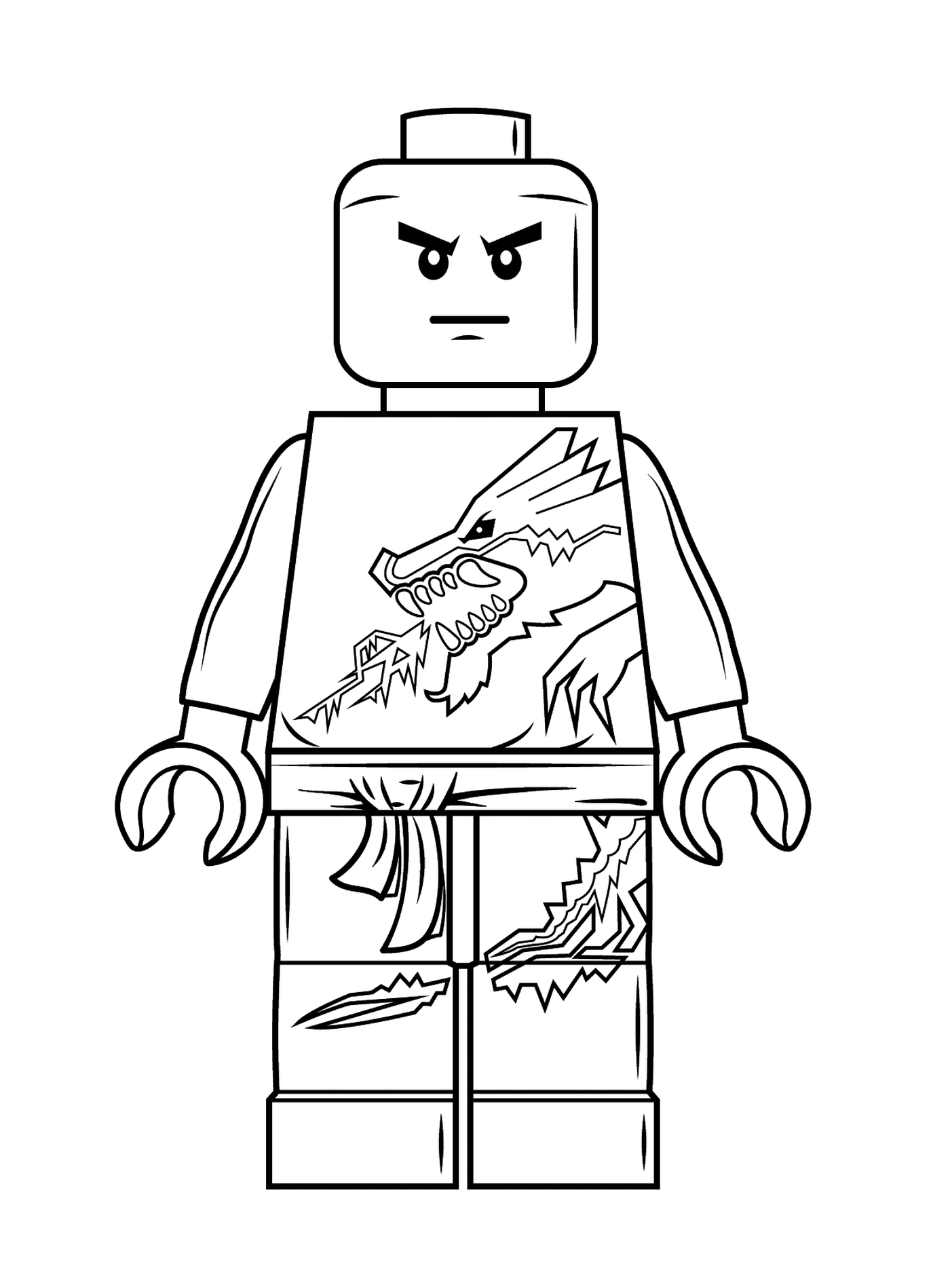  Lego Ninjago: Zane 