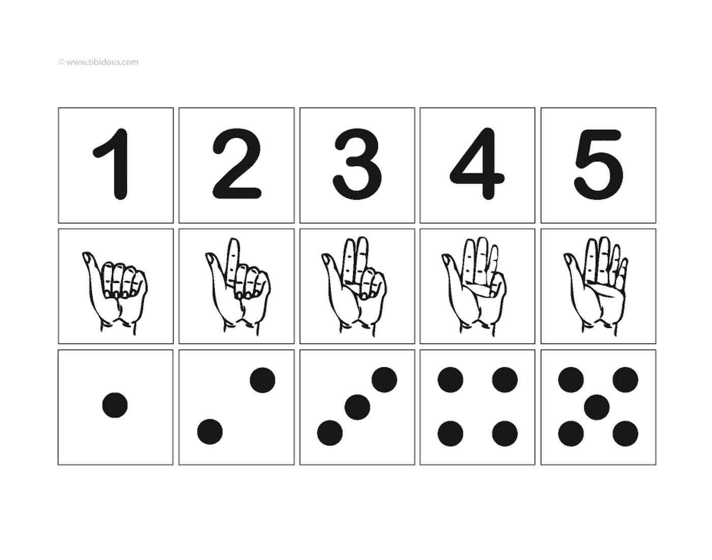  Numeri da uno a cinque con segno e illustrazione 