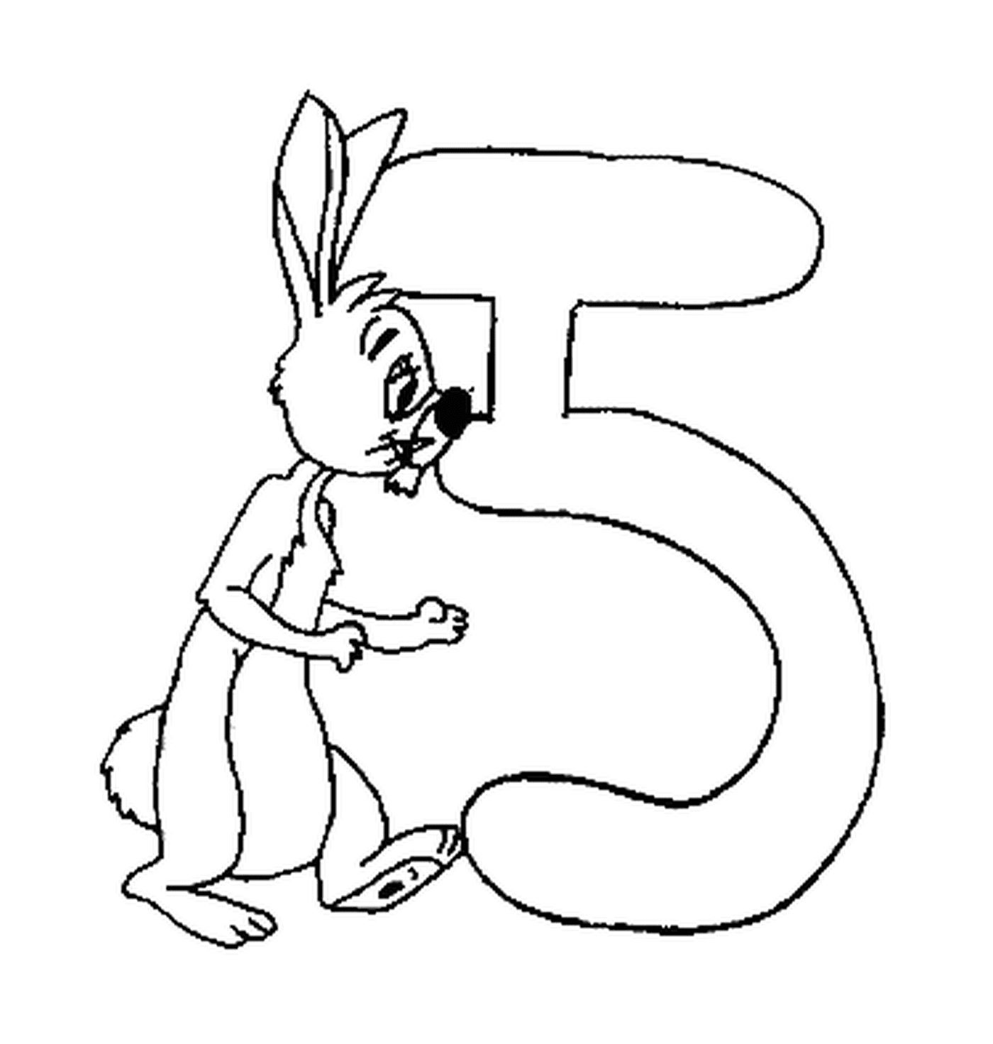  Coco Rabbit figura cinque 