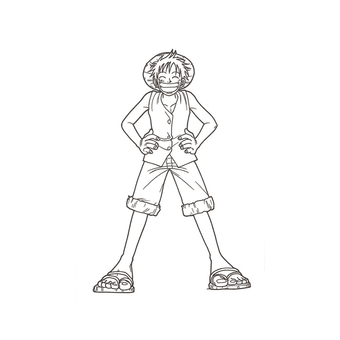  Mono D Luffy en pantalones cortos 