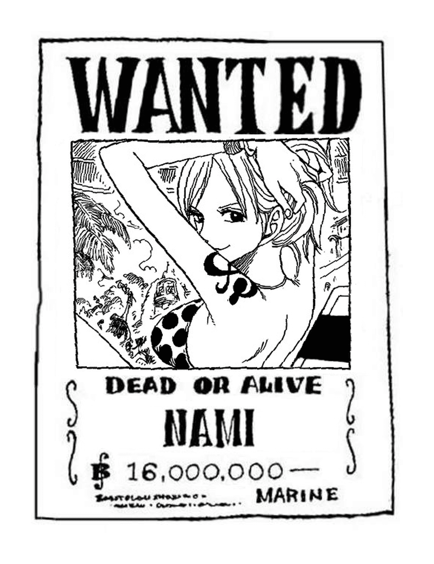  Wanted Nami, dead or alive 