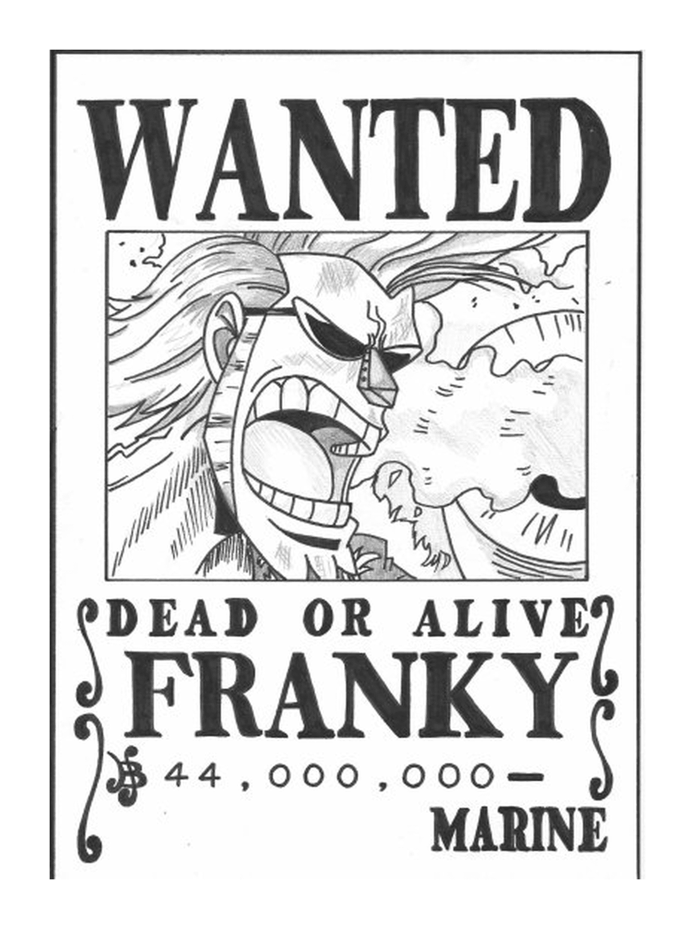  Franky Marine gesucht, tot oder lebendig 