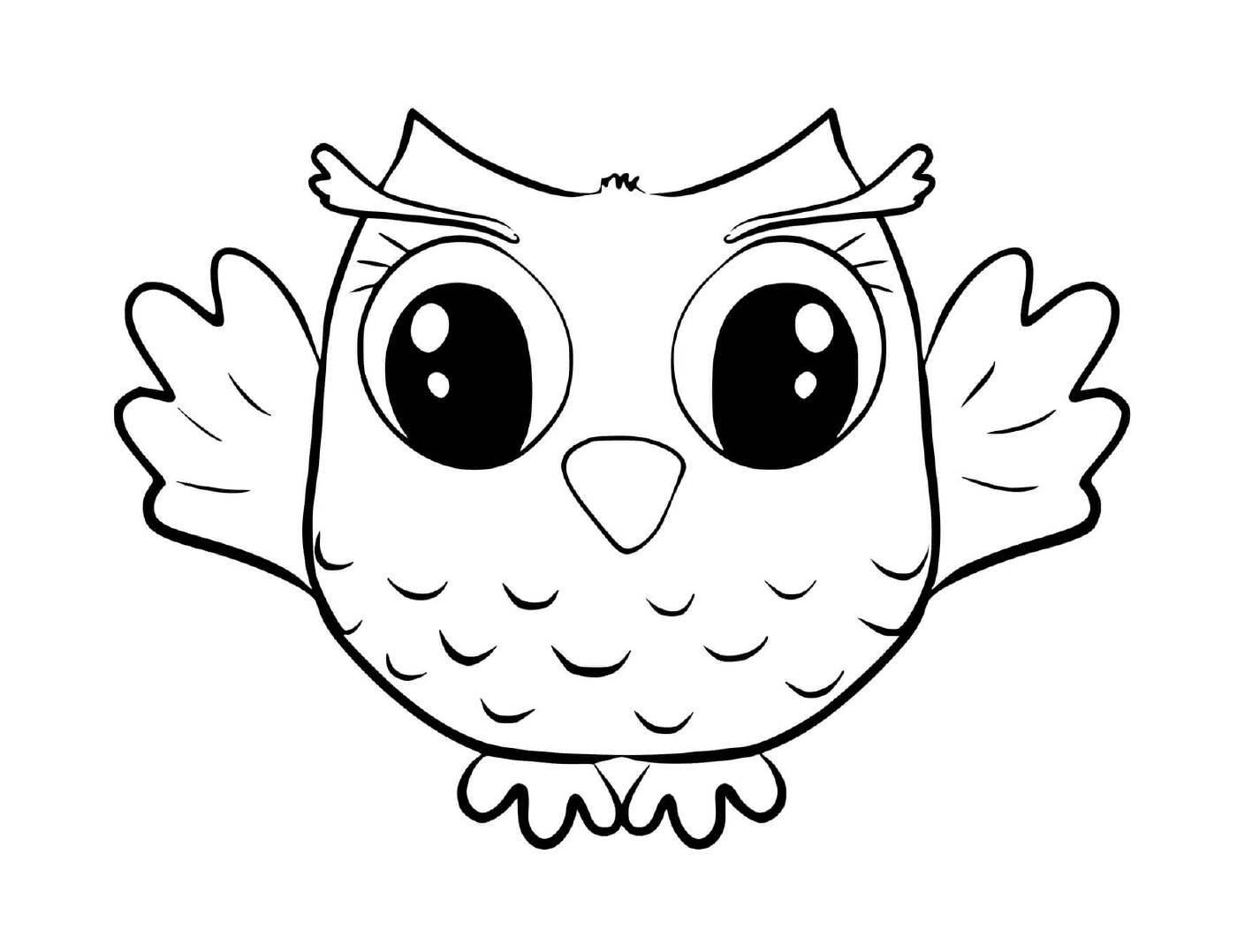  Cute little owl 