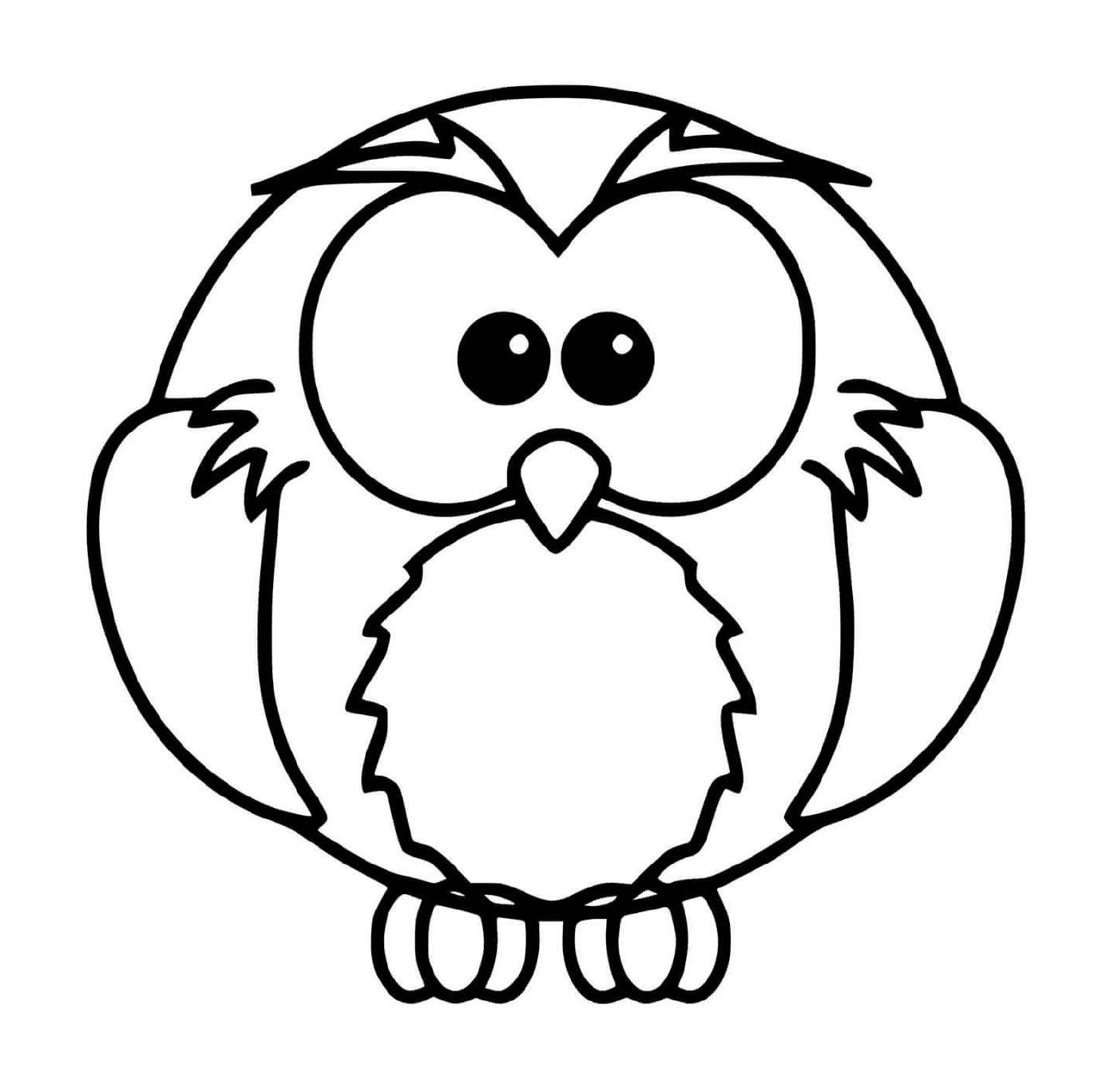  Owl bird of prey 