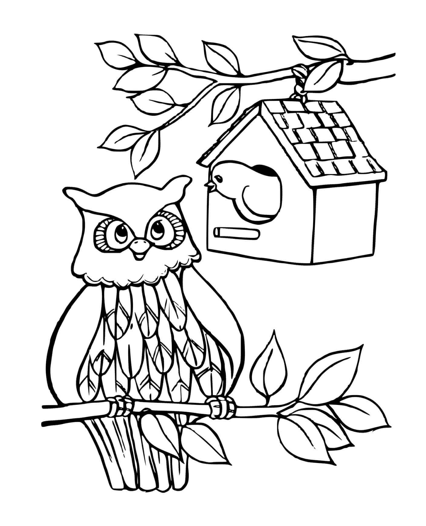 Búho con una casa de pájaros 