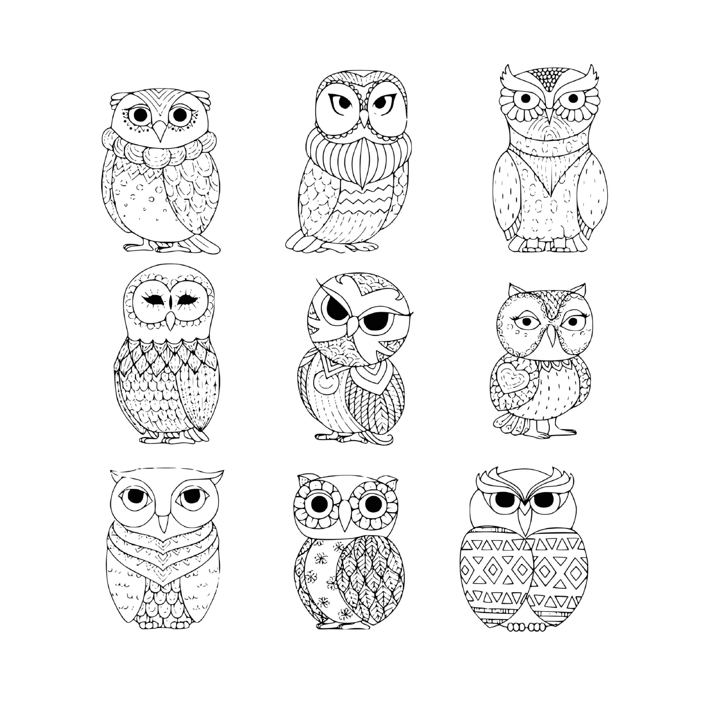  Nine owl owls 