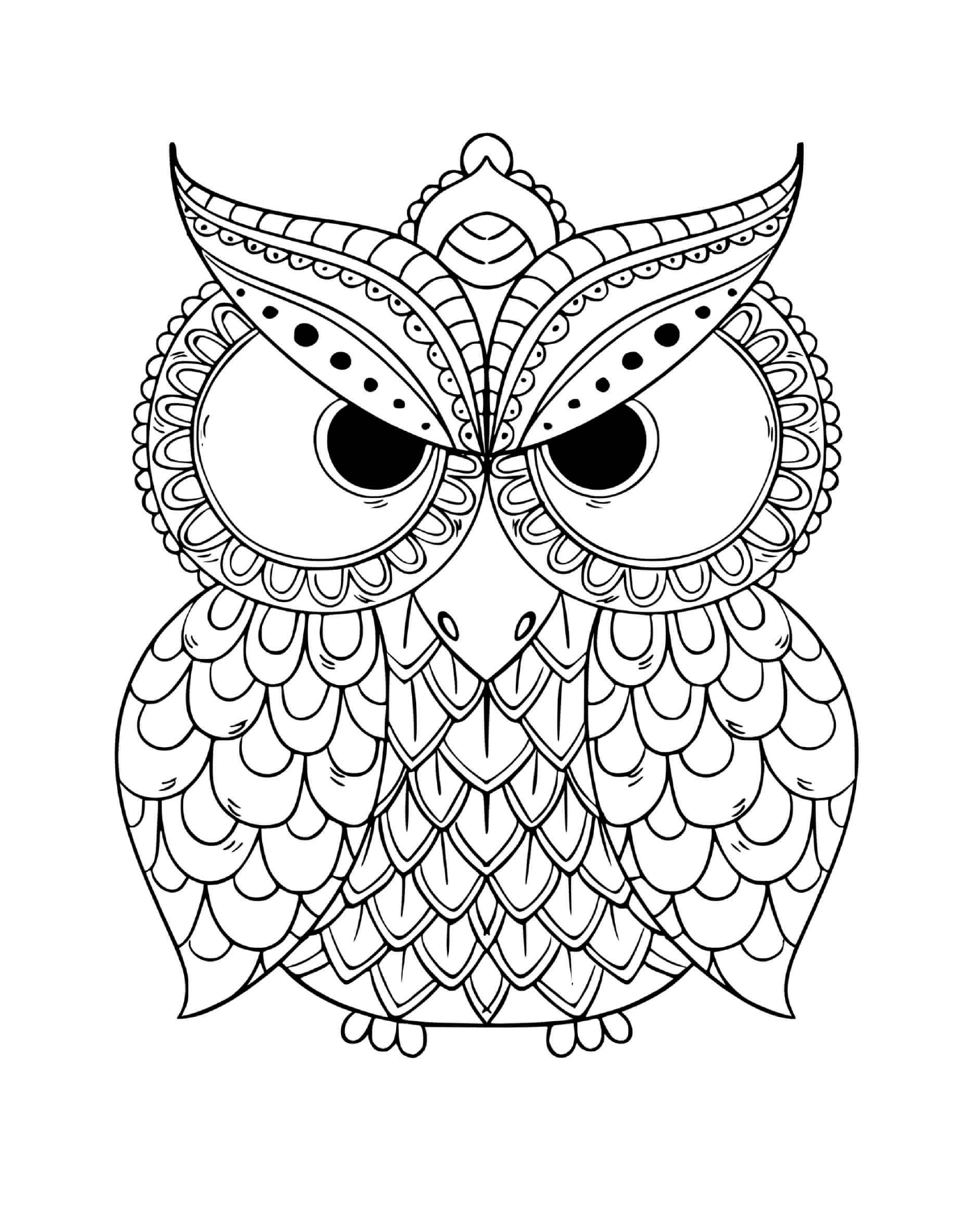  Adult Mandala Owl 