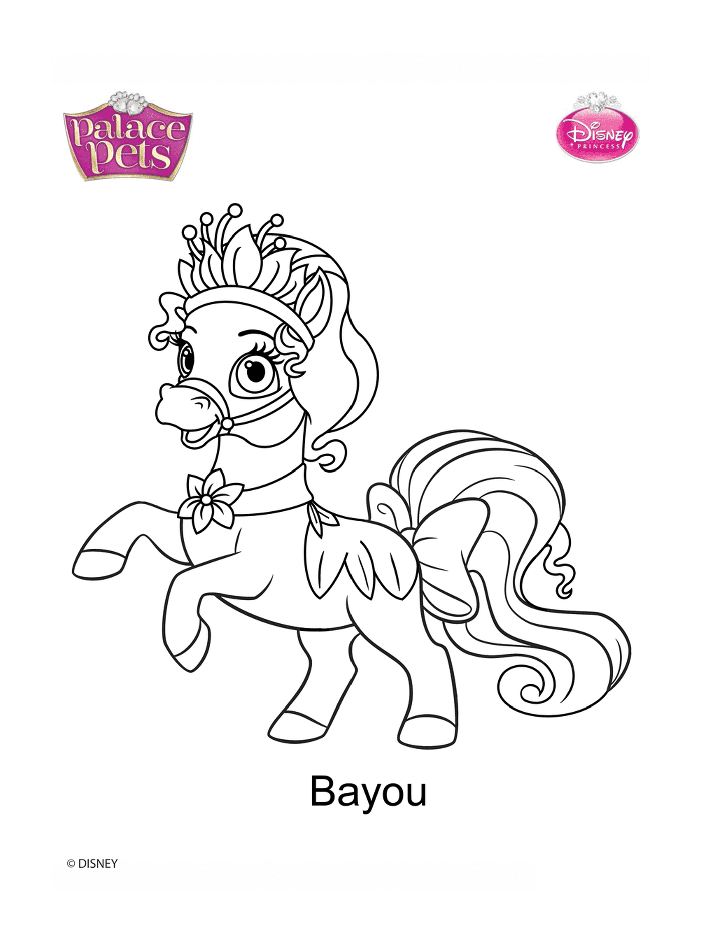  Bayou, princesa pony elegante 