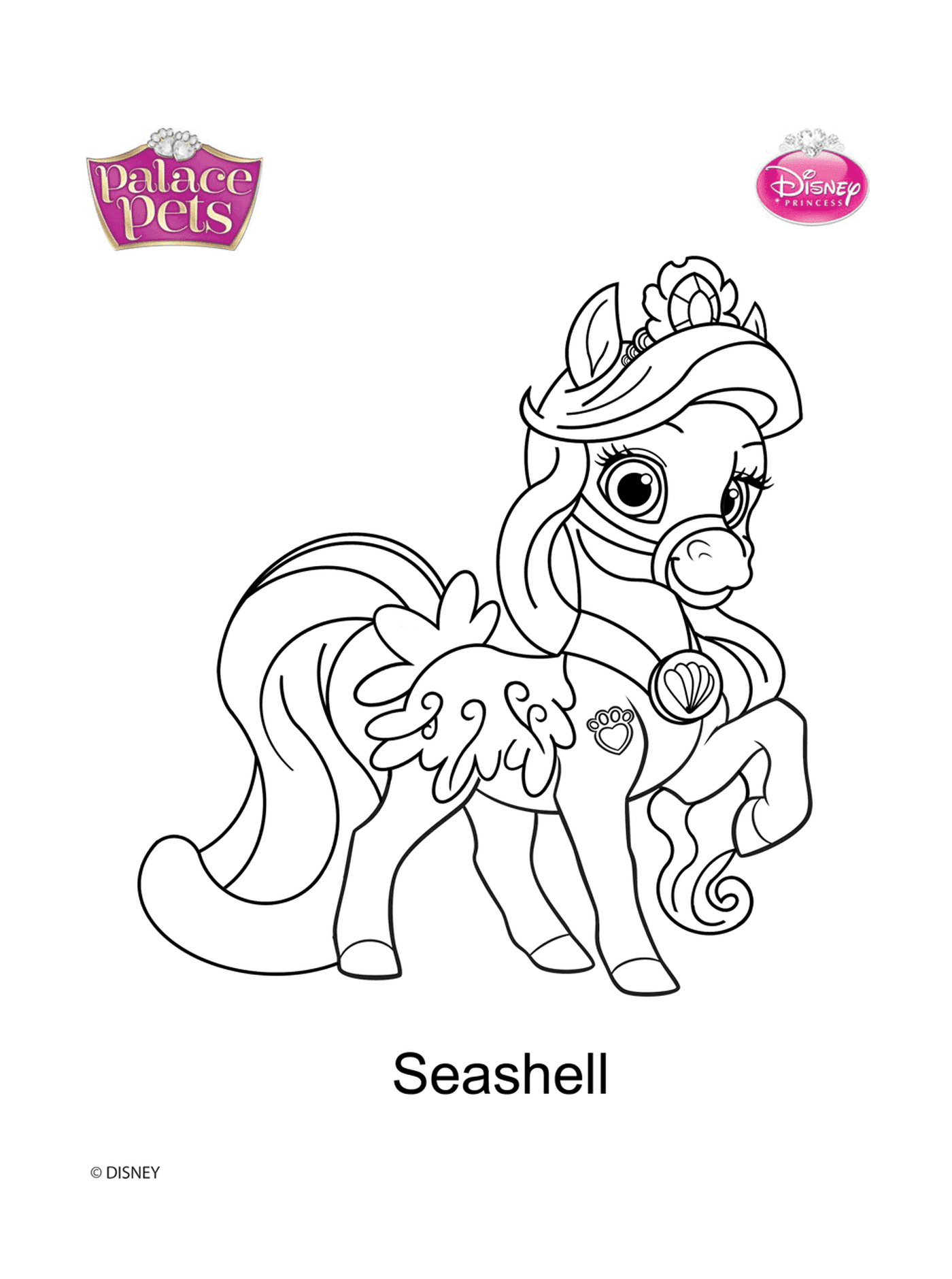  Palastfurz, Muschel Prinzessin Pony 