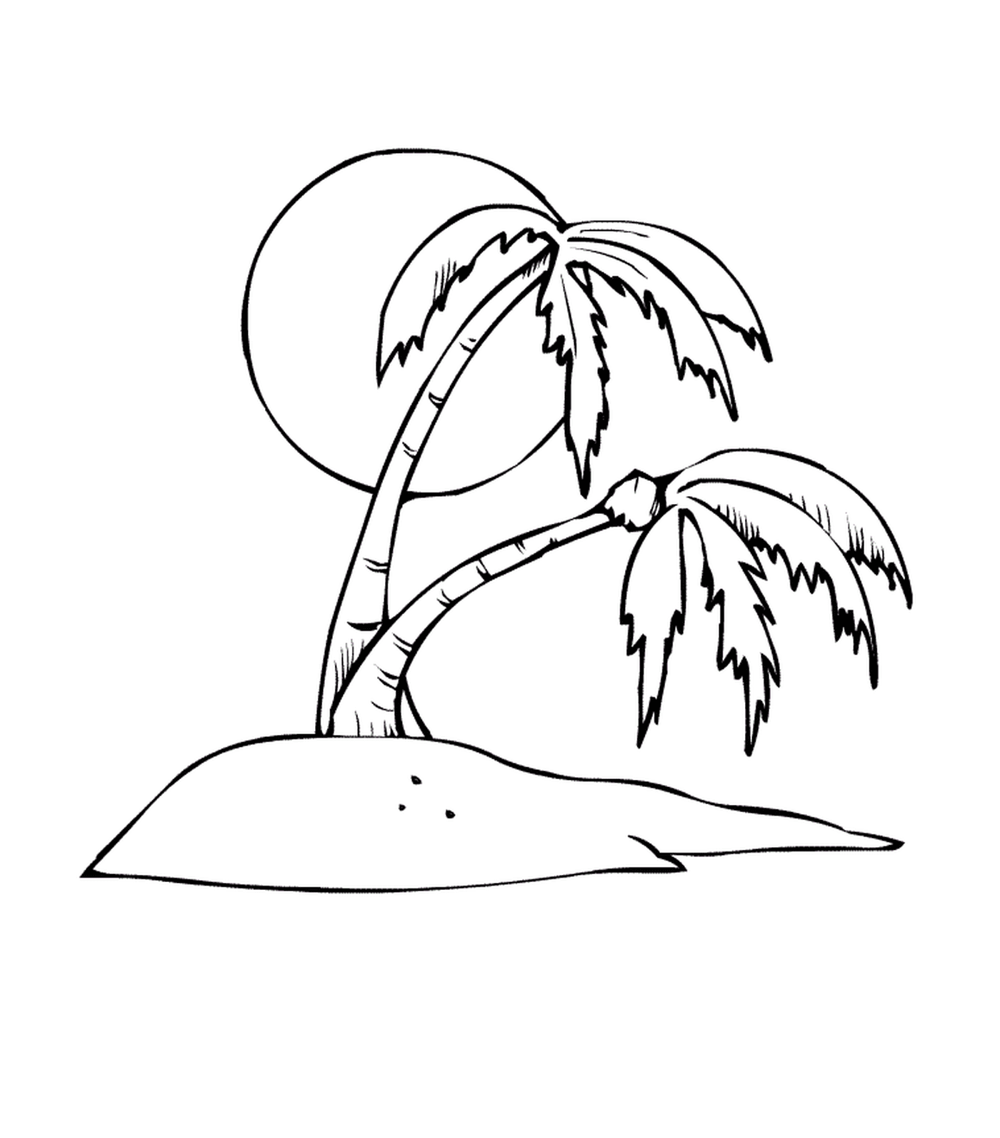  Пальмовое дерево с сердцем солнца 