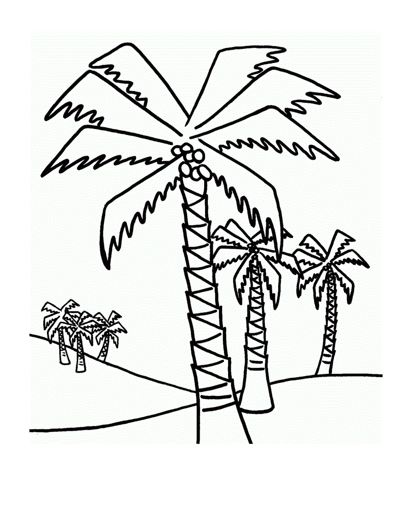  Palm tree with several palm trees 
