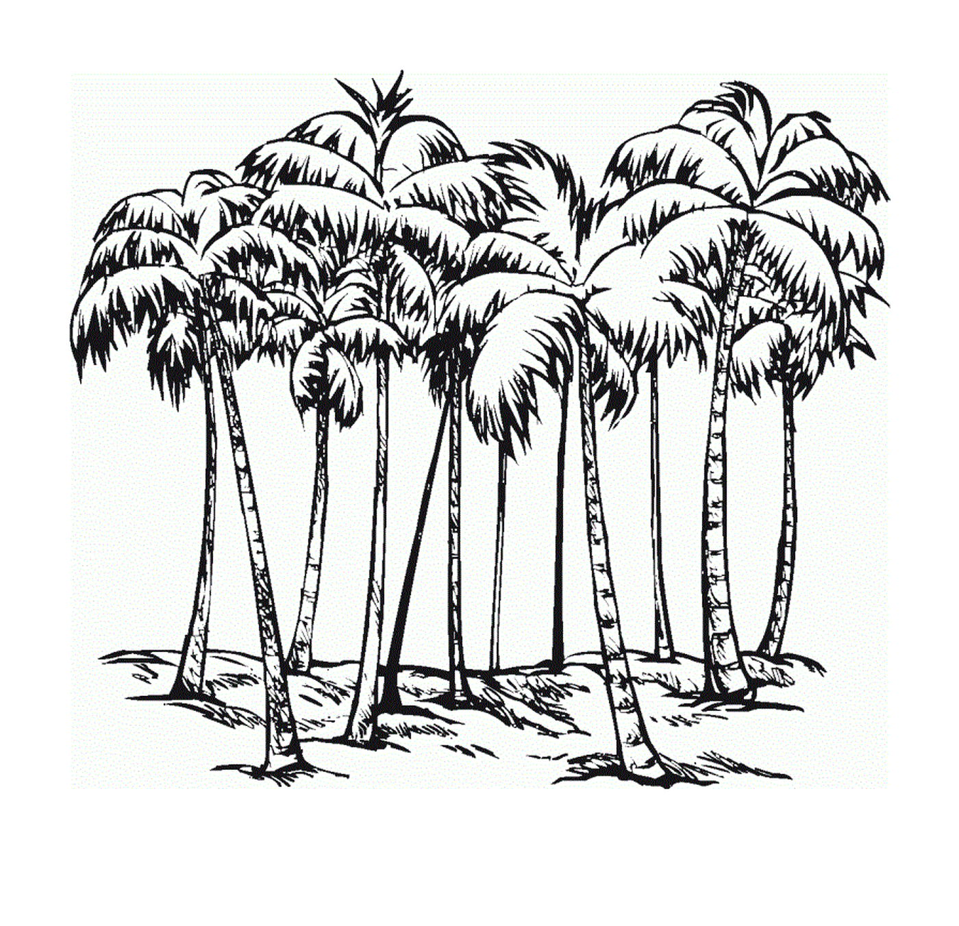  Hard palm tree for adults 