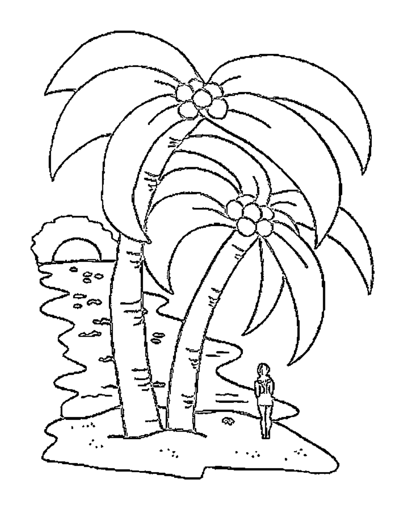  Palme Nr. 2, hübsche Palmen 
