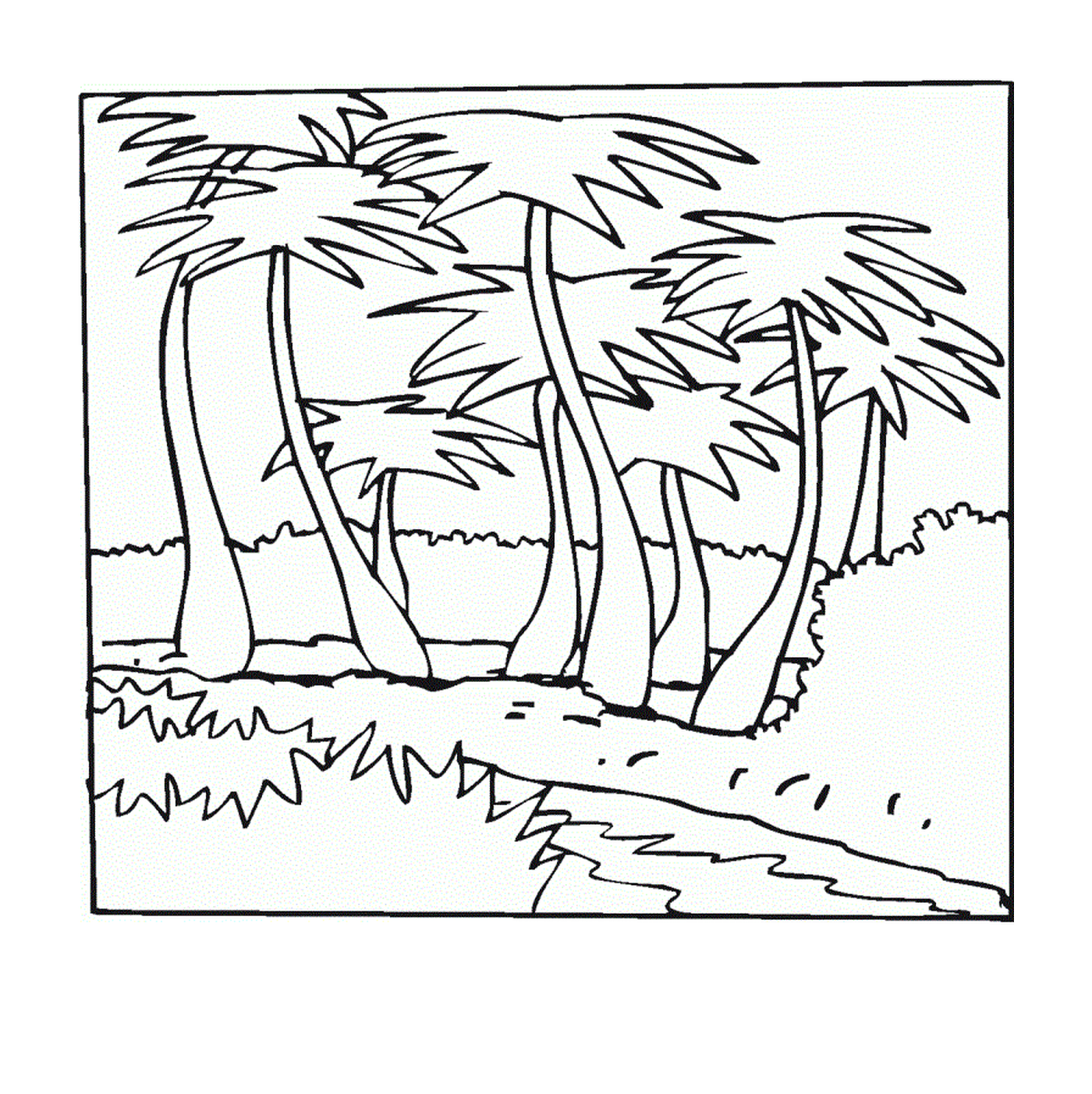  Palm tree, nature, vegetation 
