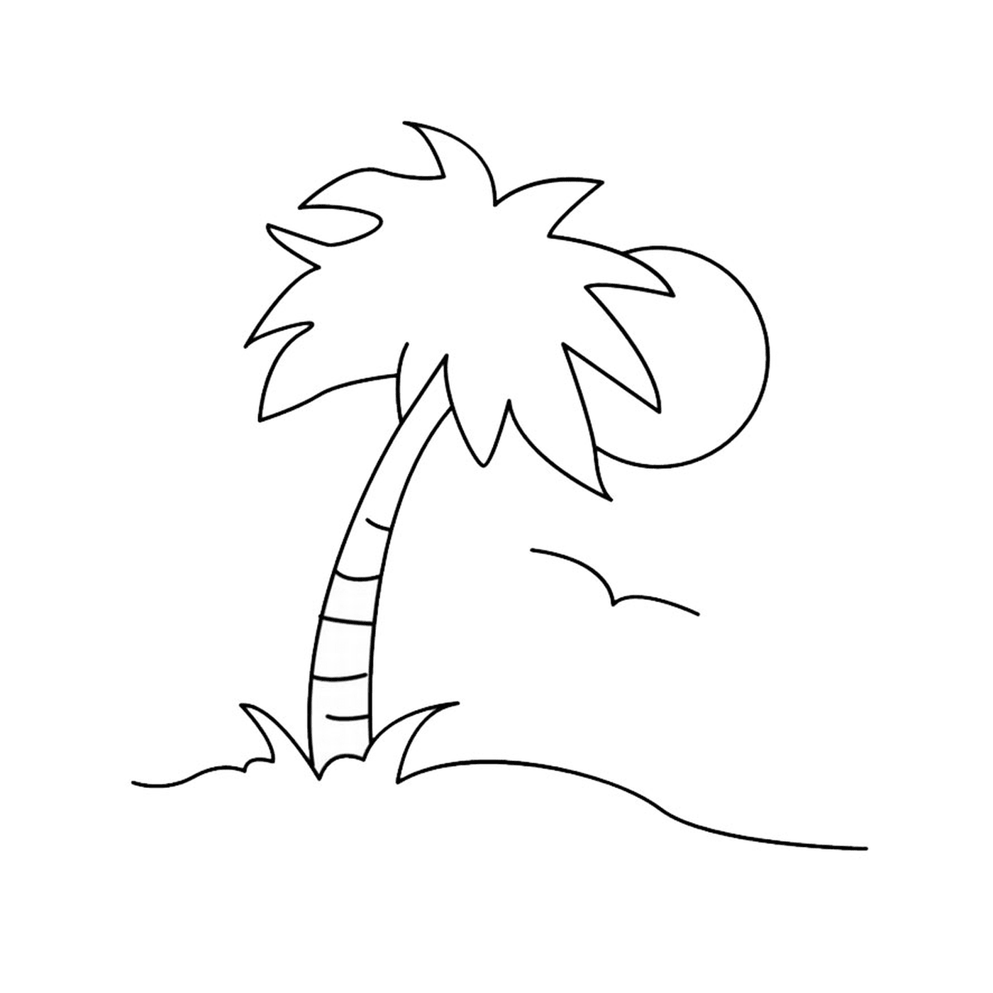  Palmbaum Nummer 3 