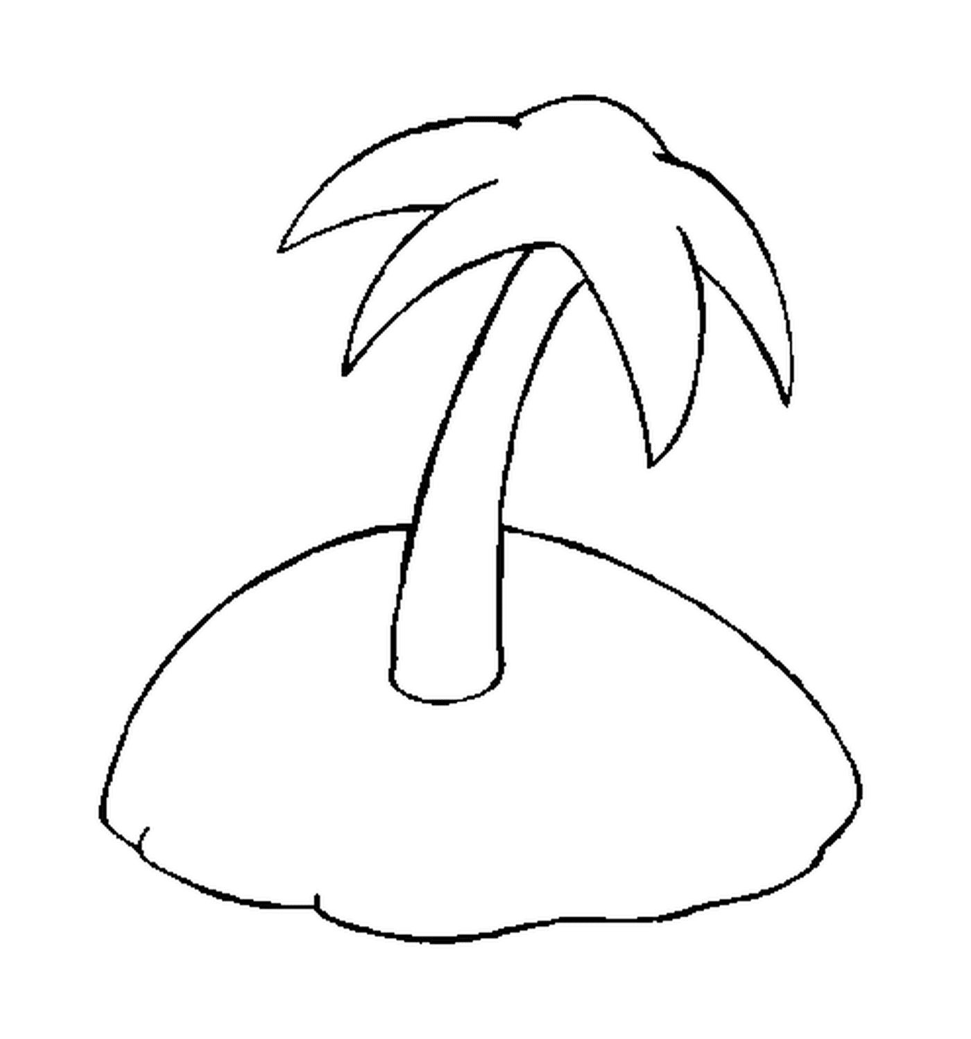  Unique palm on a deserted island 