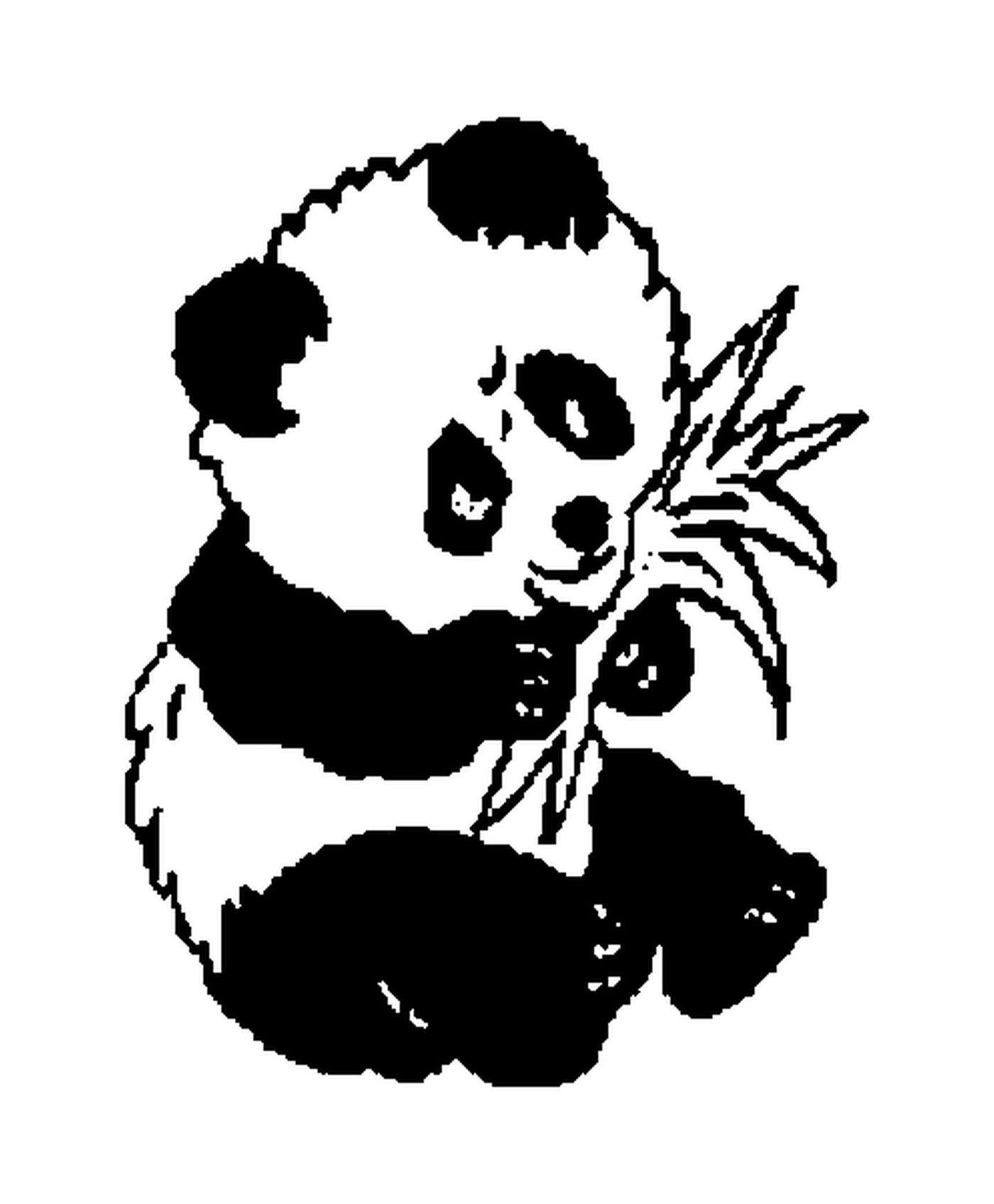  Панда сидит и ест листья 