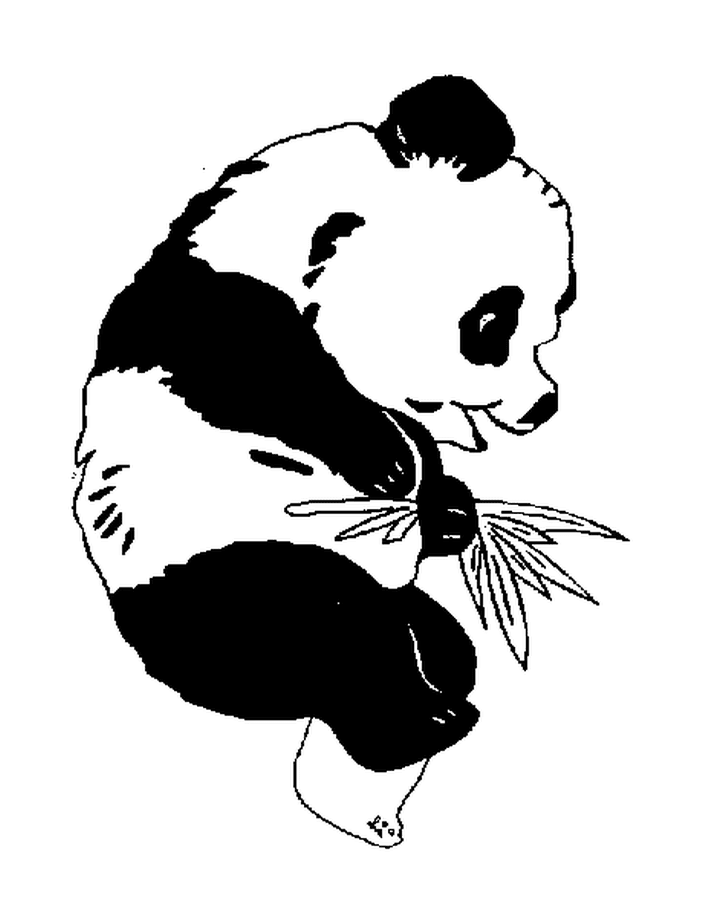  Профиль Panda 