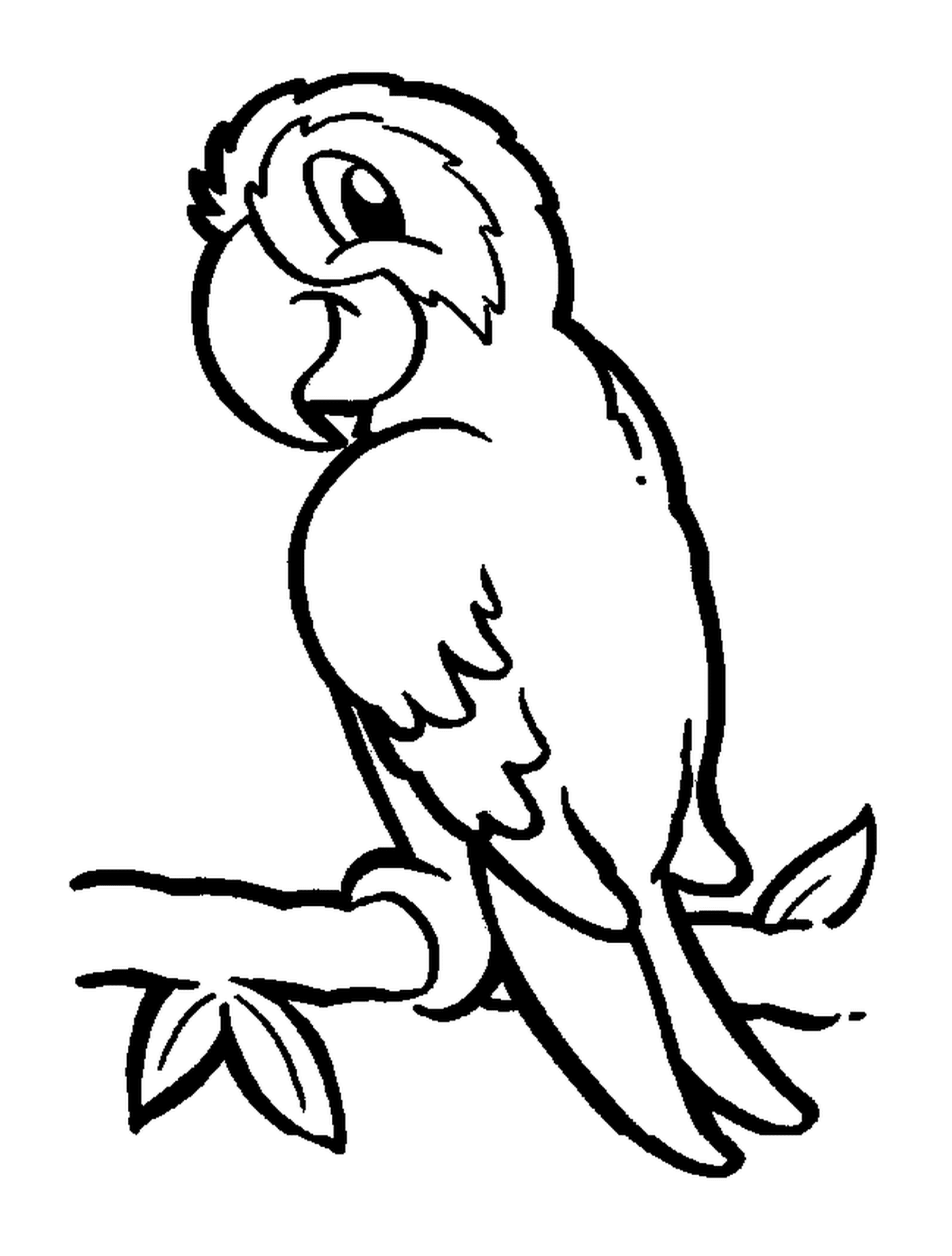  Parrot, uccello esotico con piumaggio colorato 