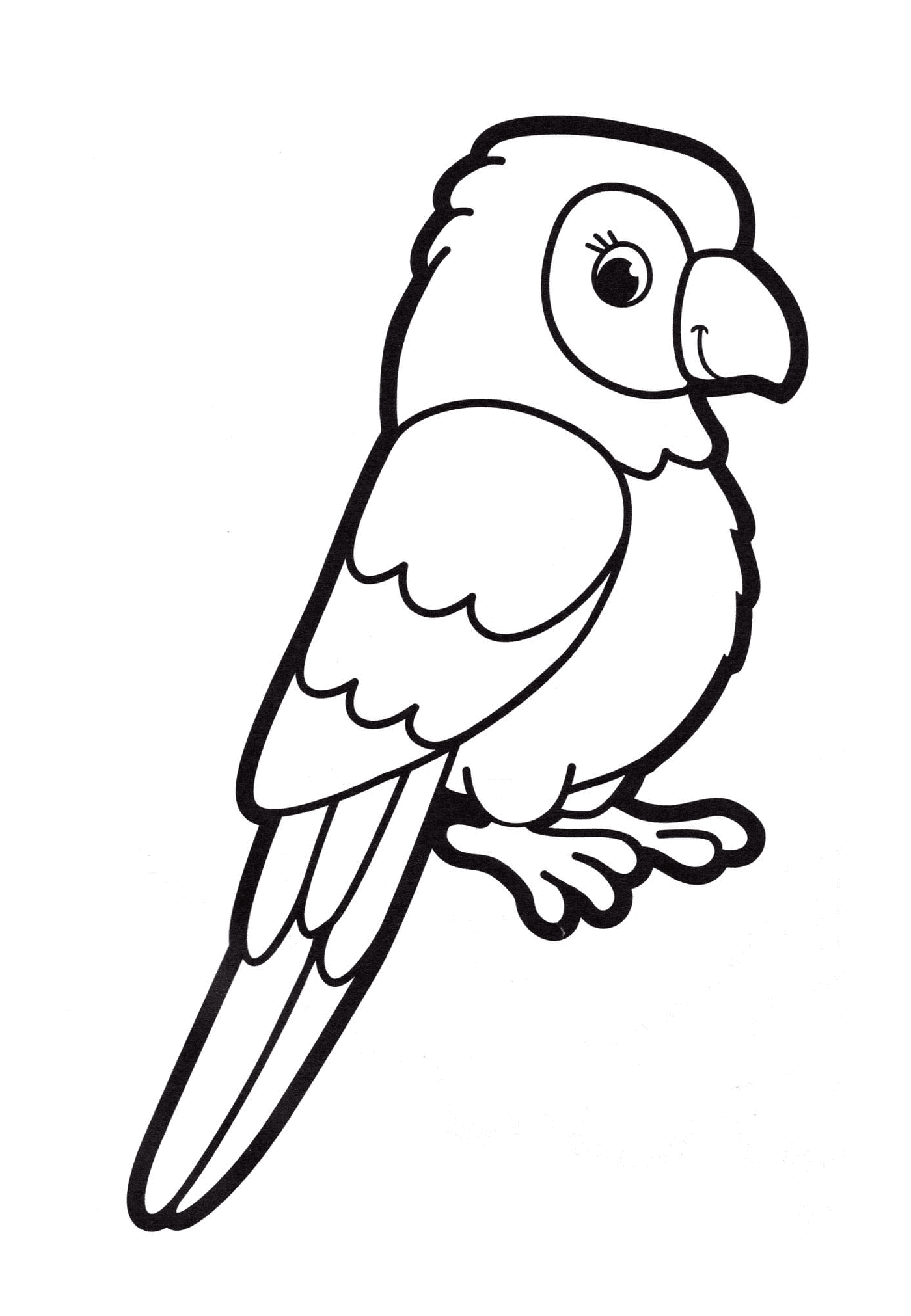  Parrot parrot for kindergarten 
