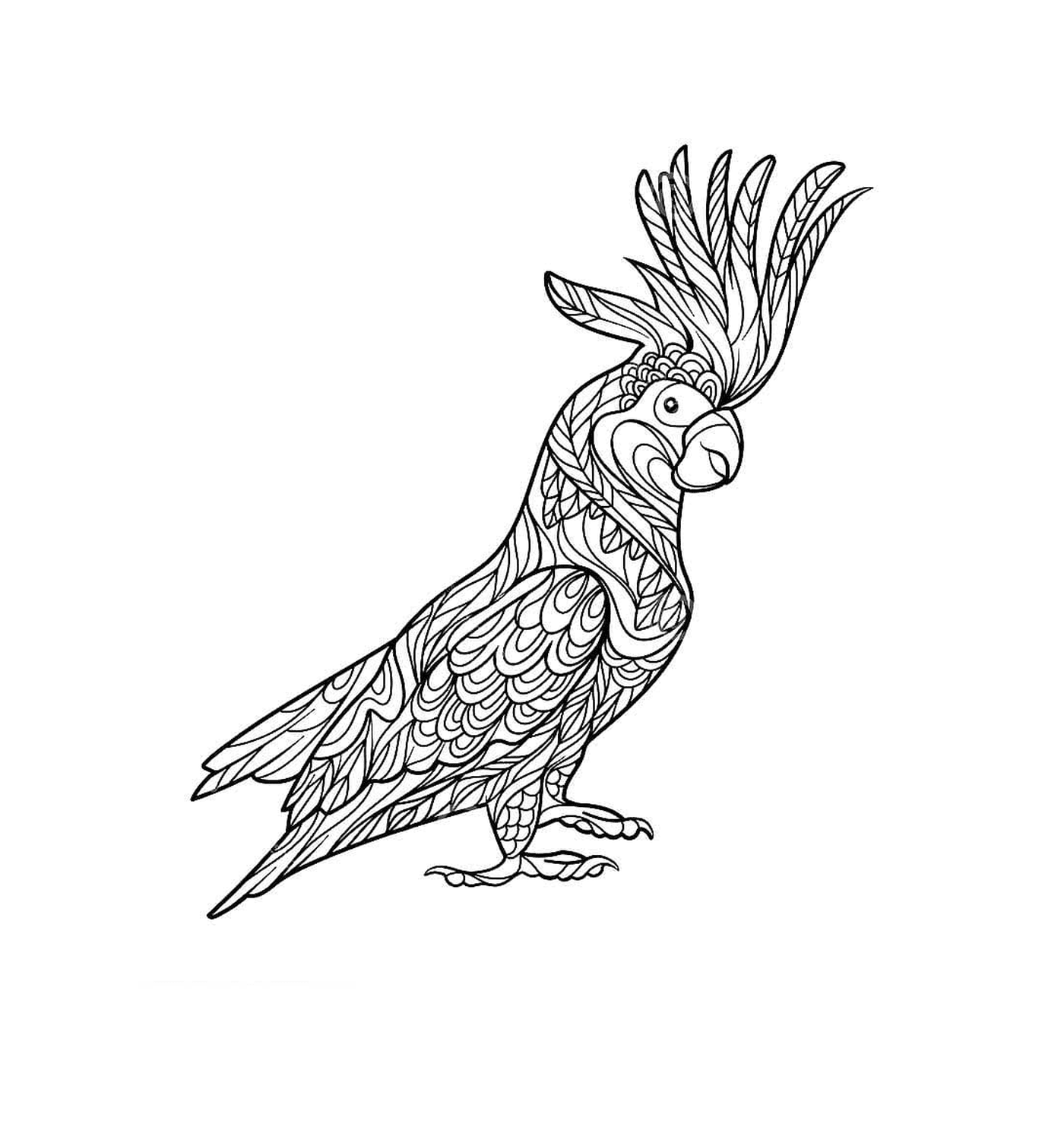  Взрослый попугай износостойкий зентангл 