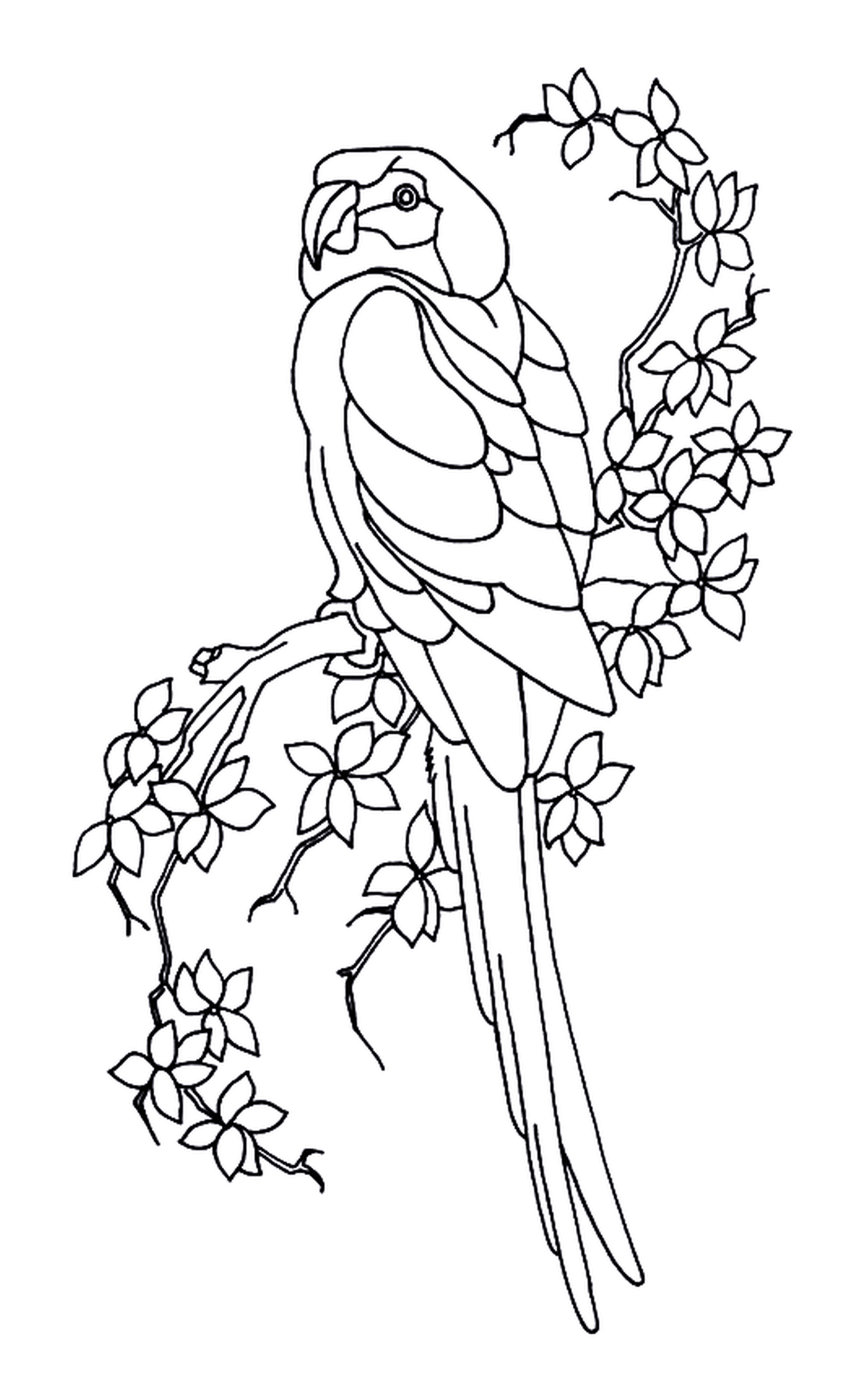  Perrote y hojas, pájaro posado en una rama de árbol 