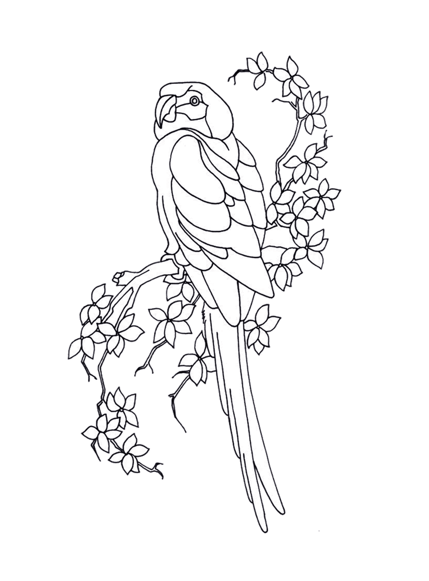  Papagei auf einem Zweig mit Blumen 
