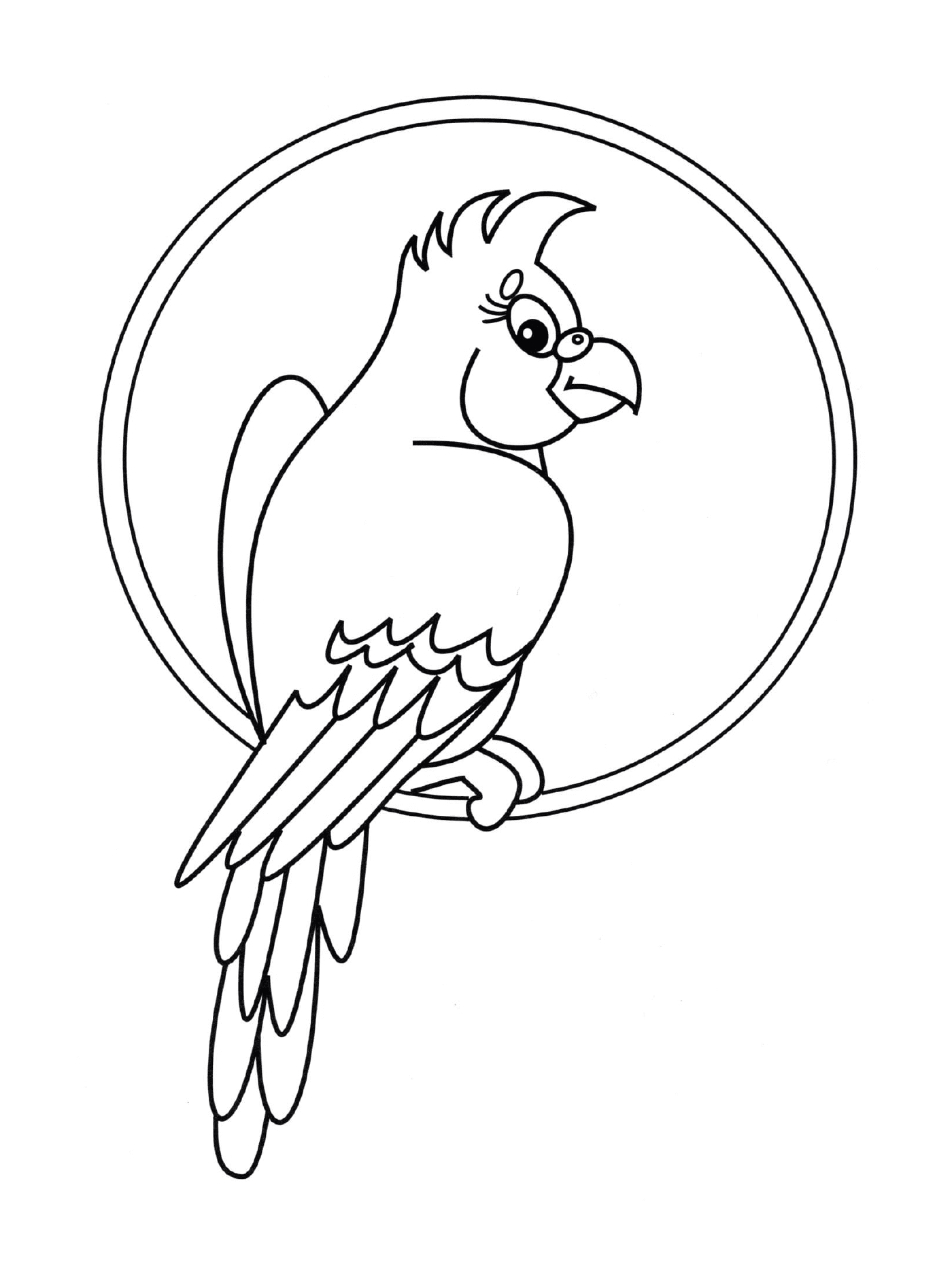  Parrot sitting on a circle 