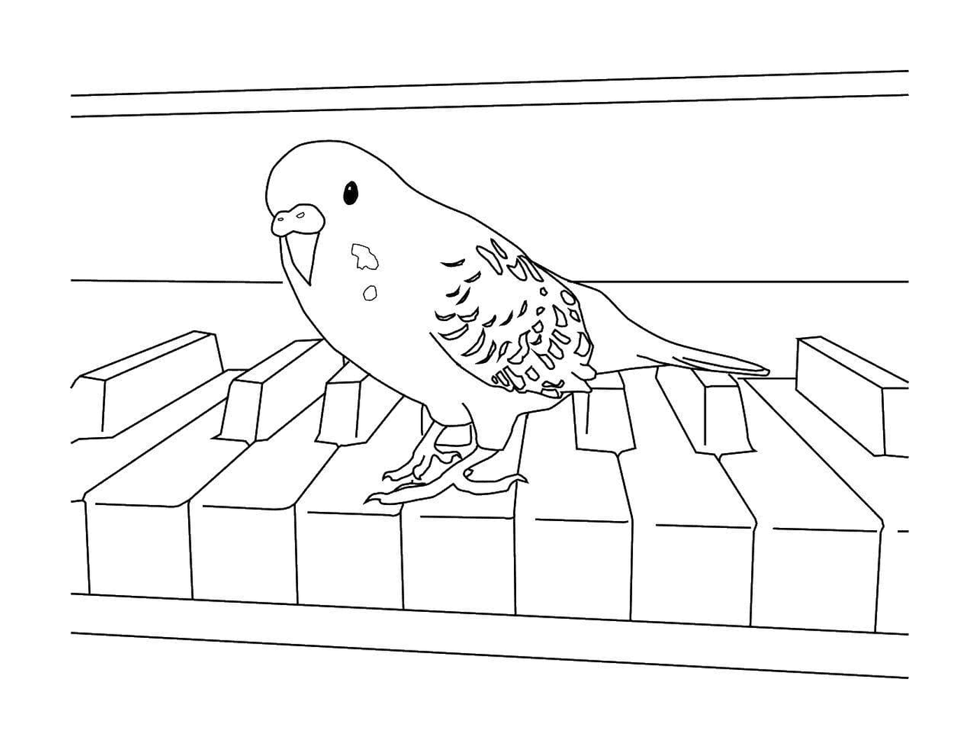  Perrot perched on piano 