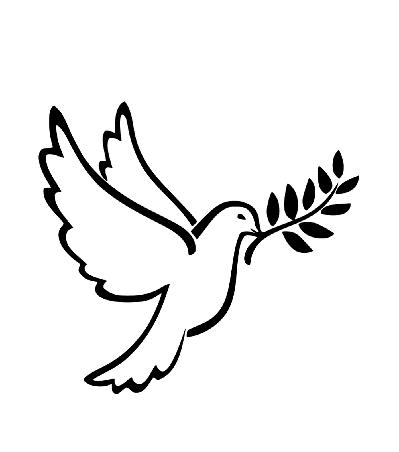  Pájaro blanco de la paz 