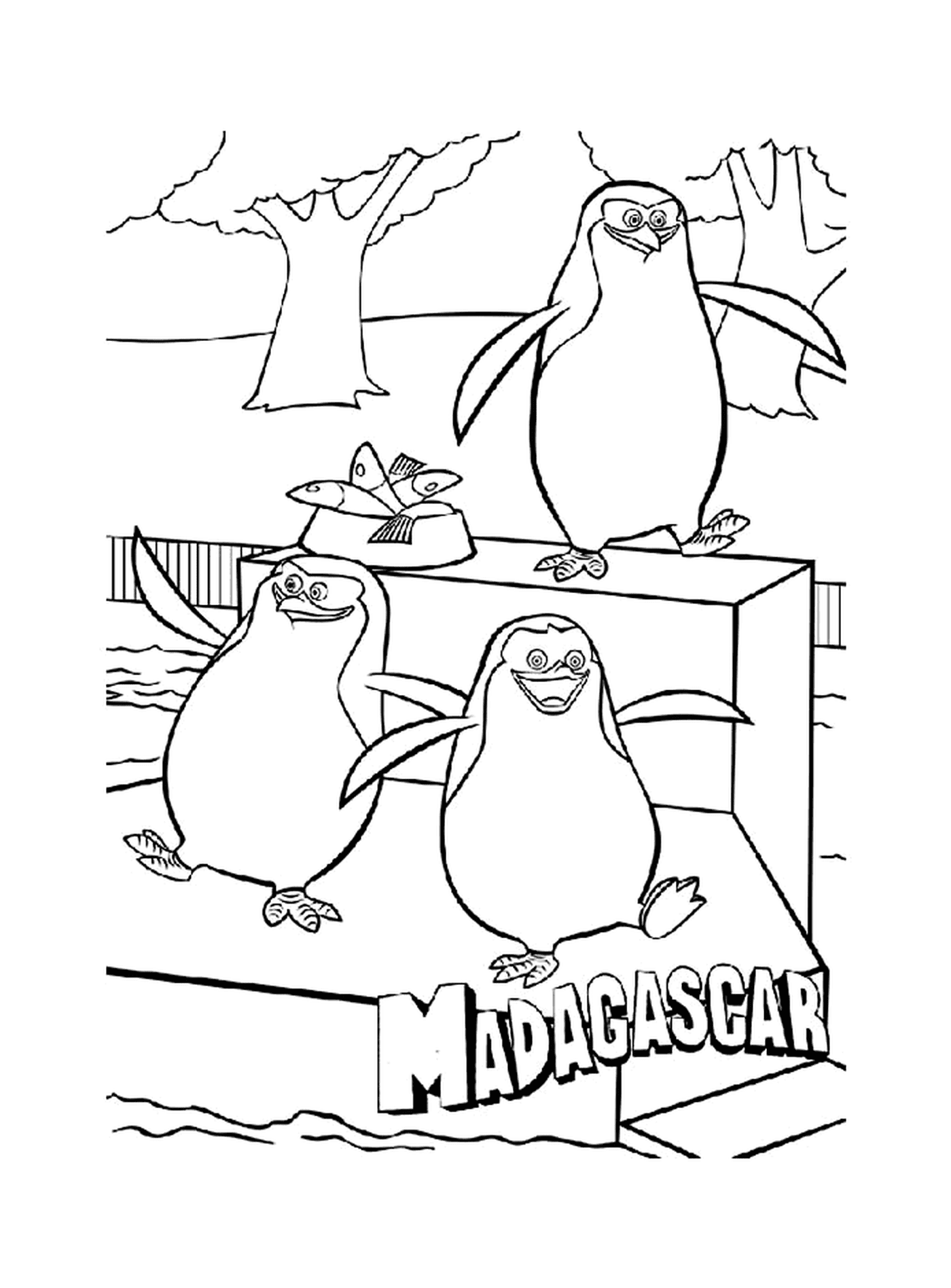  Grupo de tres pingüinos en una cornisa 