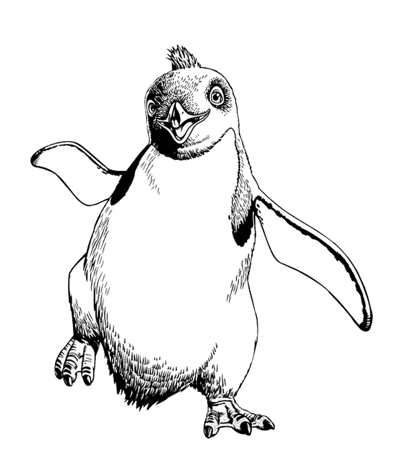  Pingüino caminando en silencio 