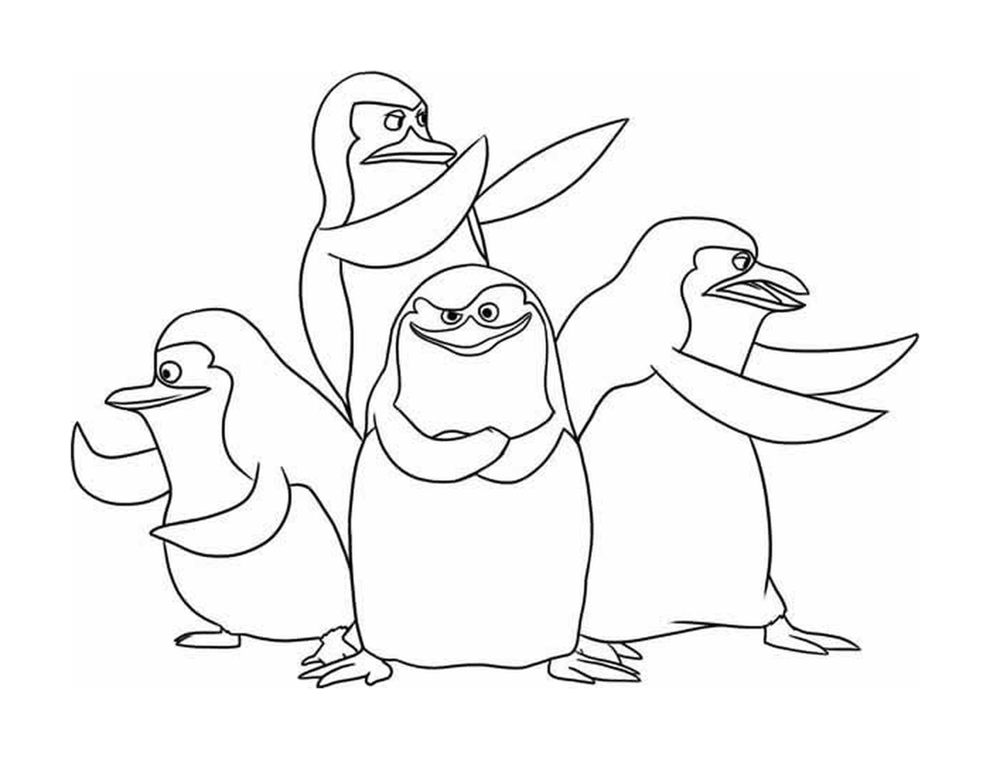  Grupo de pingüinos en filas 