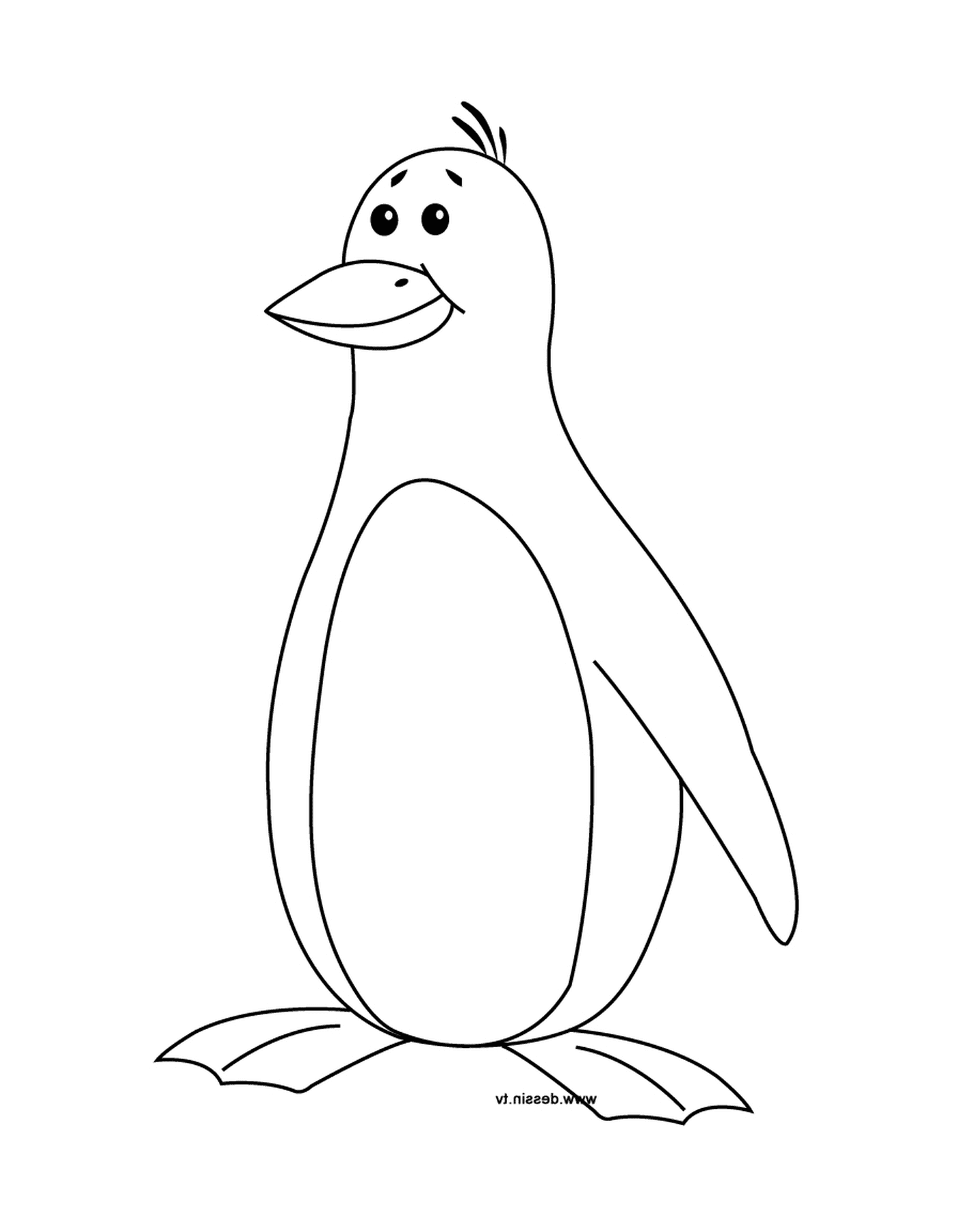  Bonito y divertido pingüino 