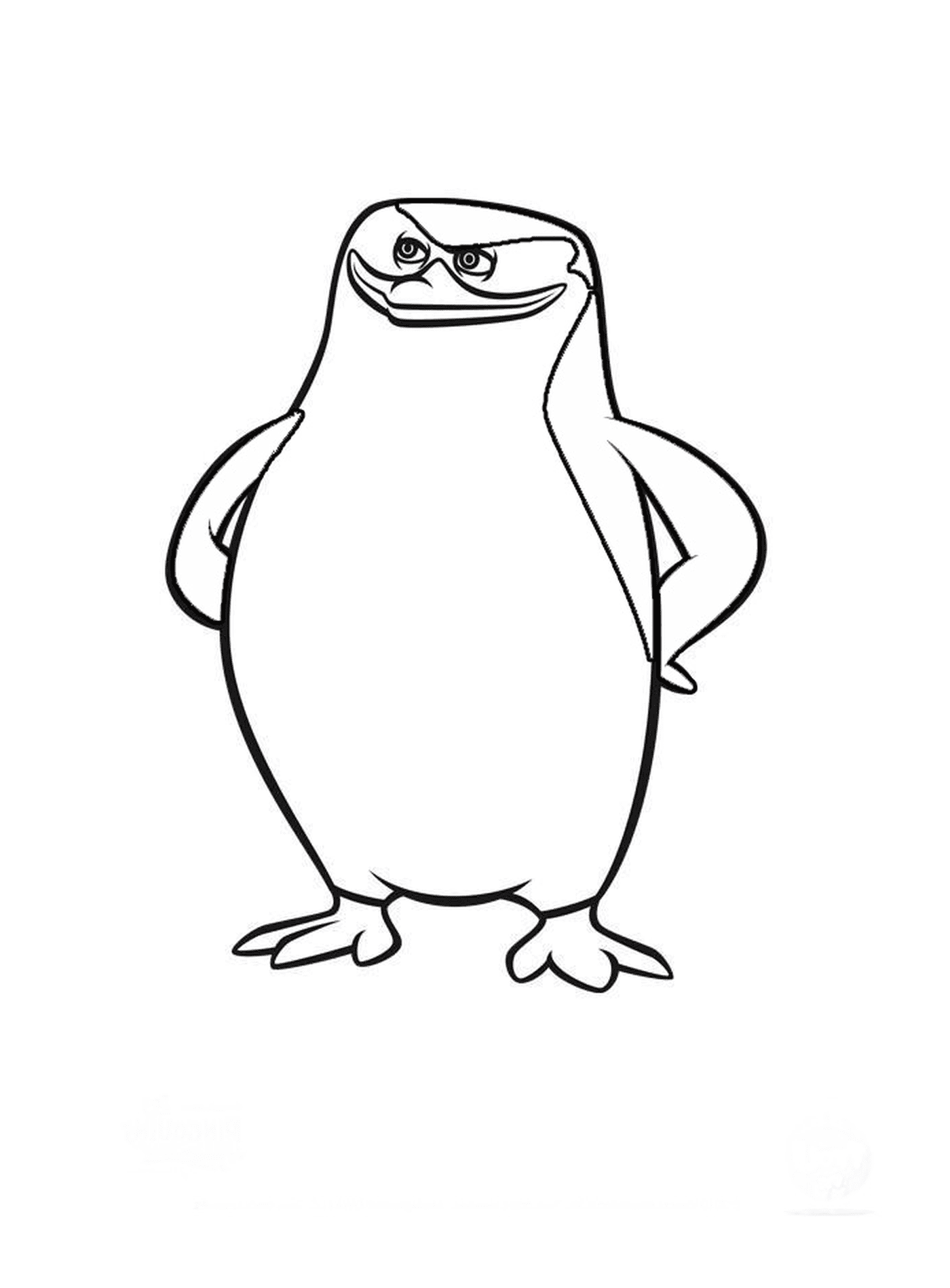  Madagaskar Pinguine sicher 